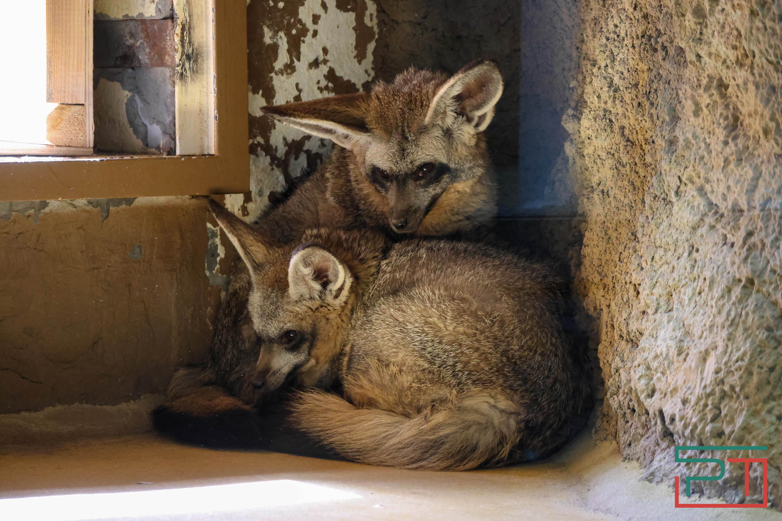 Весна в зооботсаду