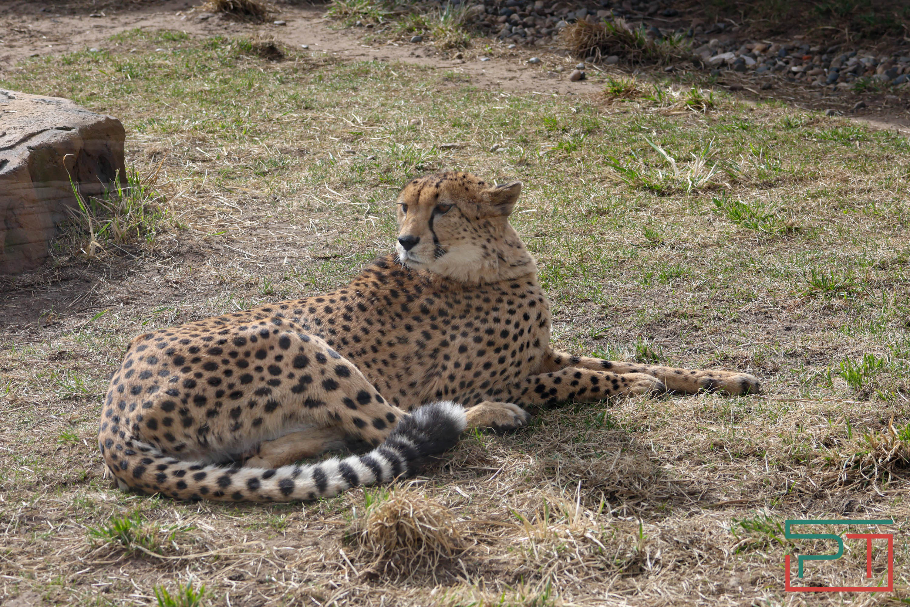 Весна в зооботсаду