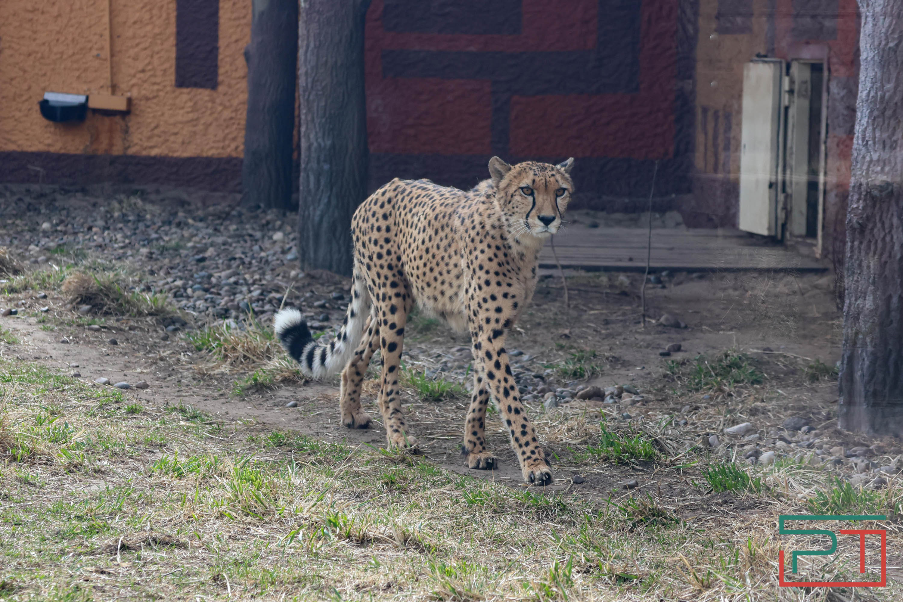 Весна в зооботсаду