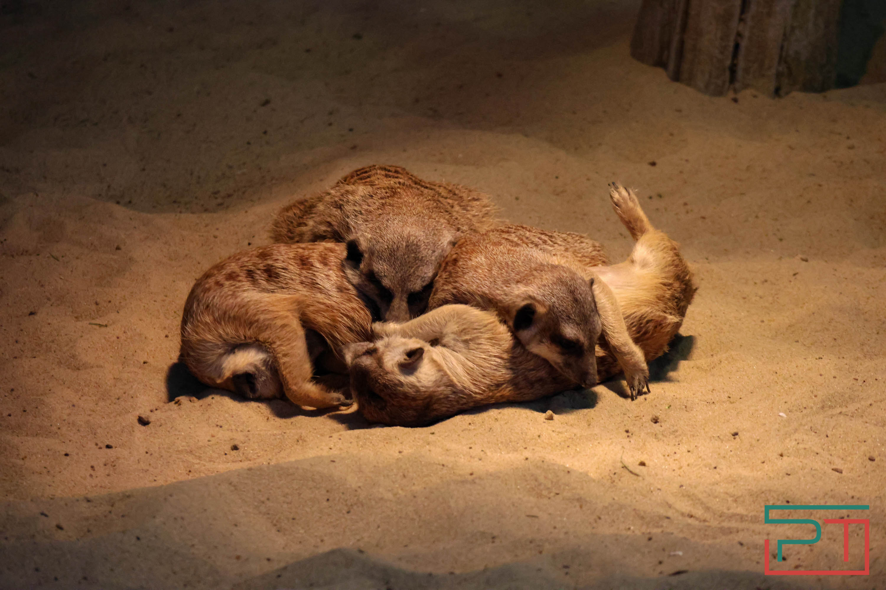 Весна в зооботсаду