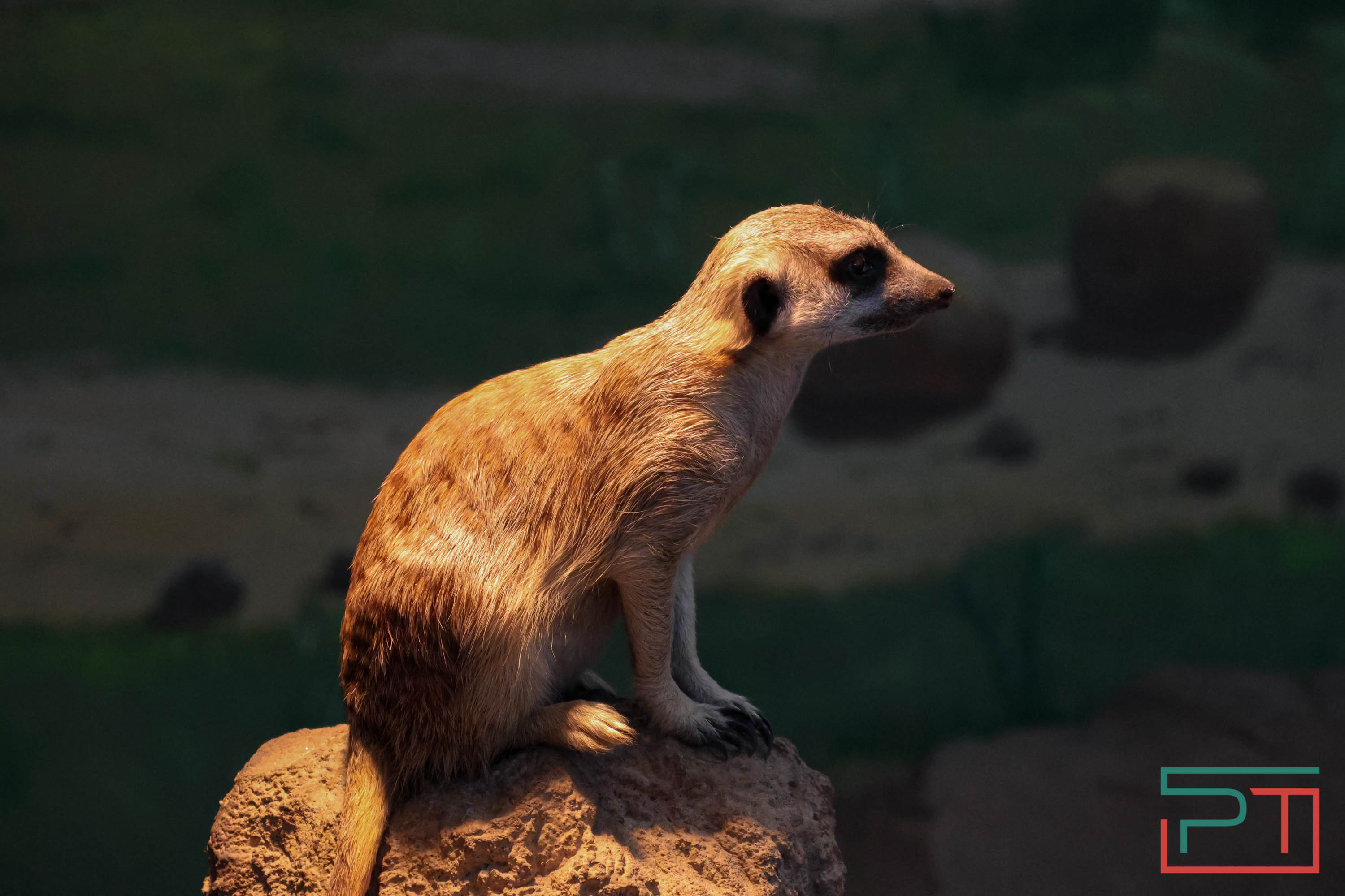 Весна в зооботсаду