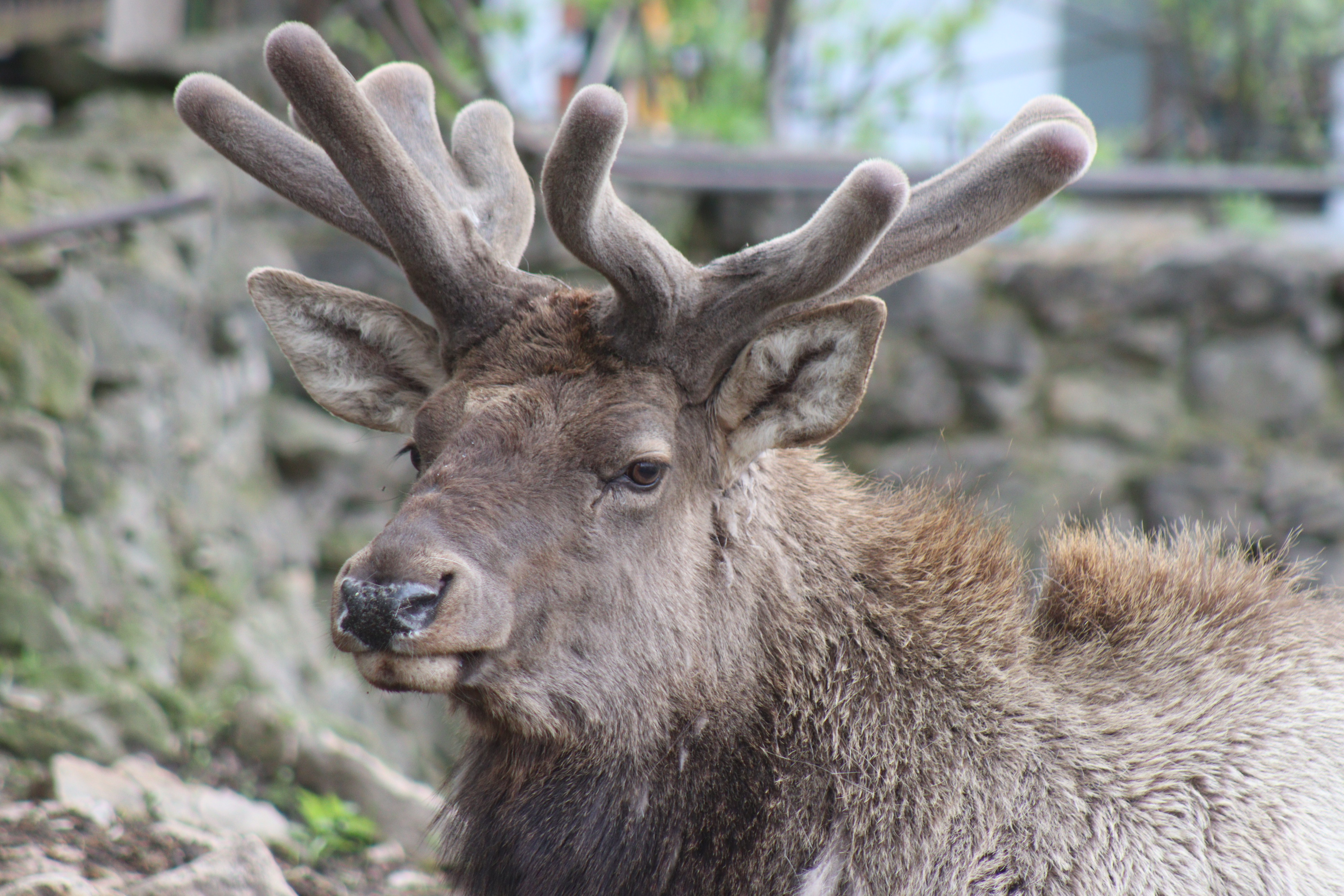 Весна в зооботсаду