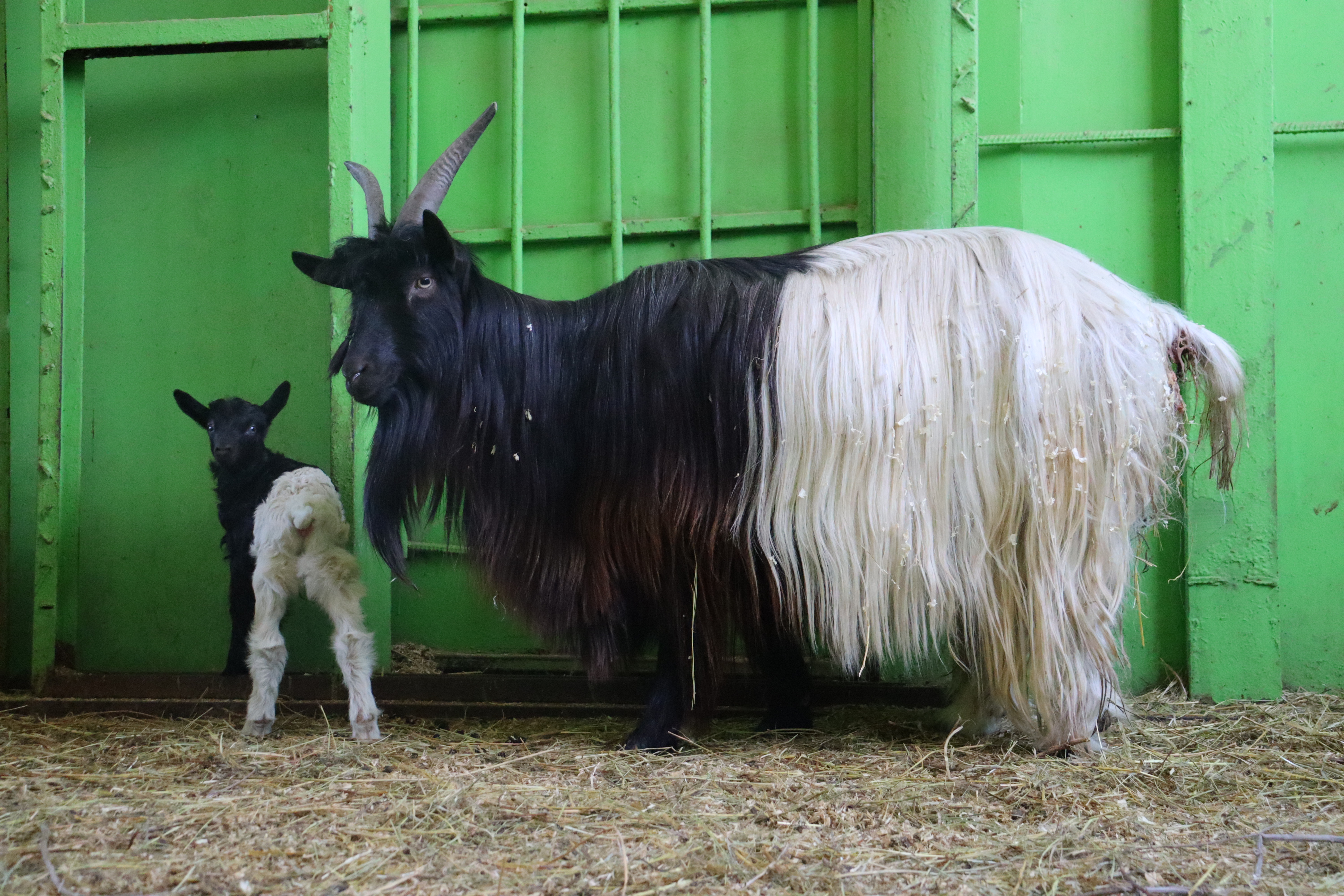 Весна в зооботсаду