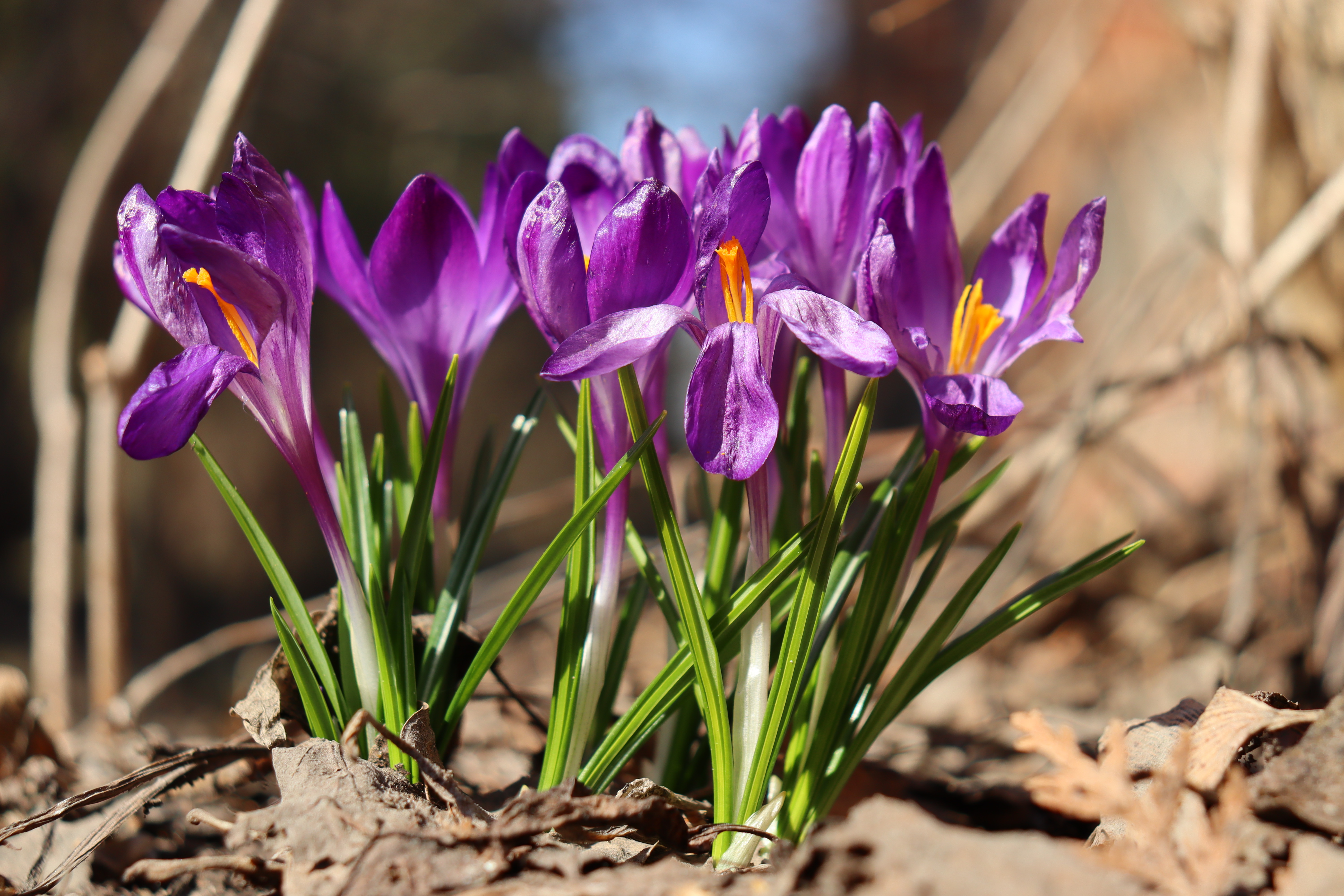 Весна в зооботсаду