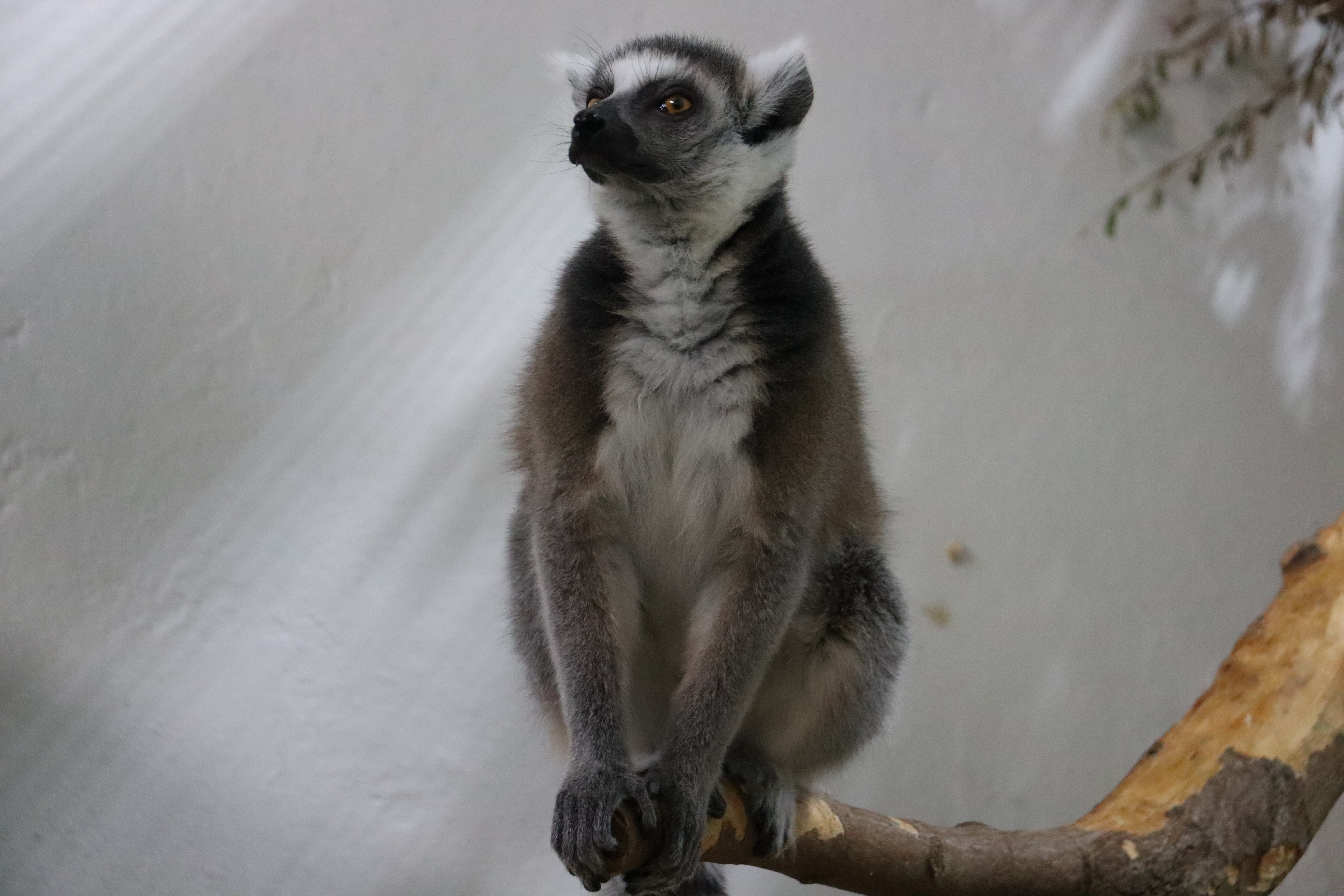 Весна в зооботсаду