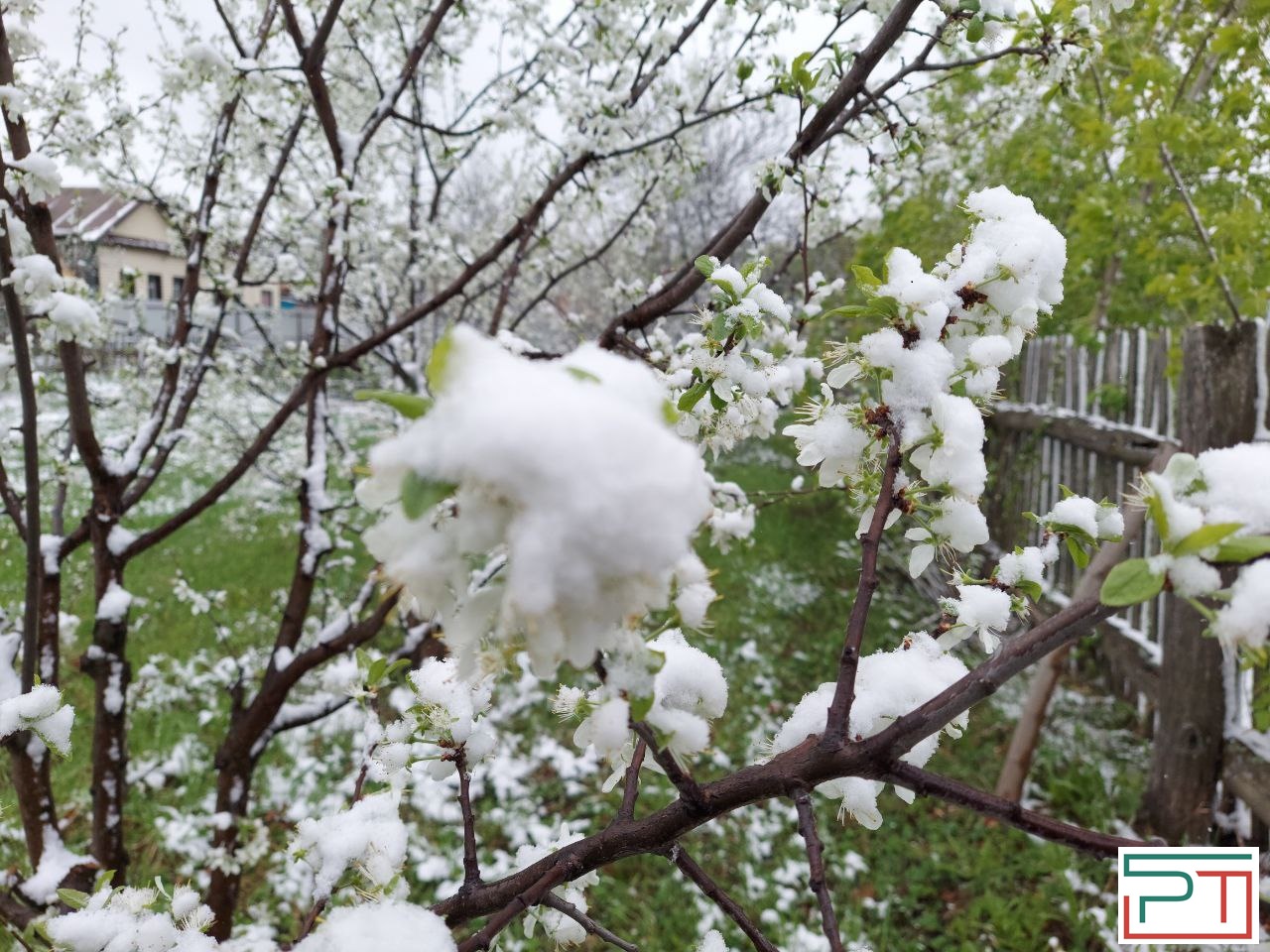 Жители Татарстана делятся фото апрельского снегопада