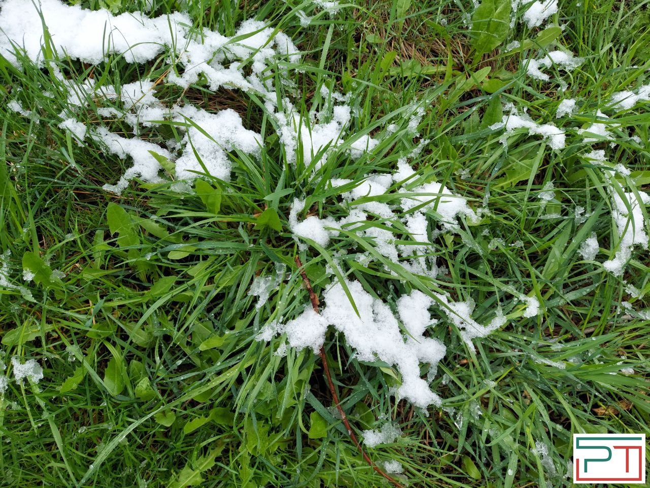 Жители Татарстана делятся фото апрельского снегопада