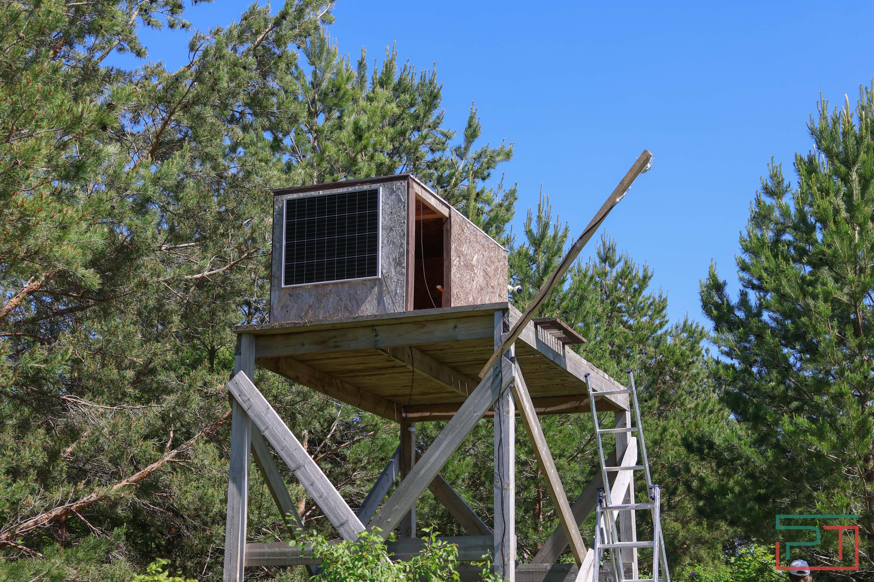 В Камско-Устьинский район доставили 8 птенцов сокола-балобана