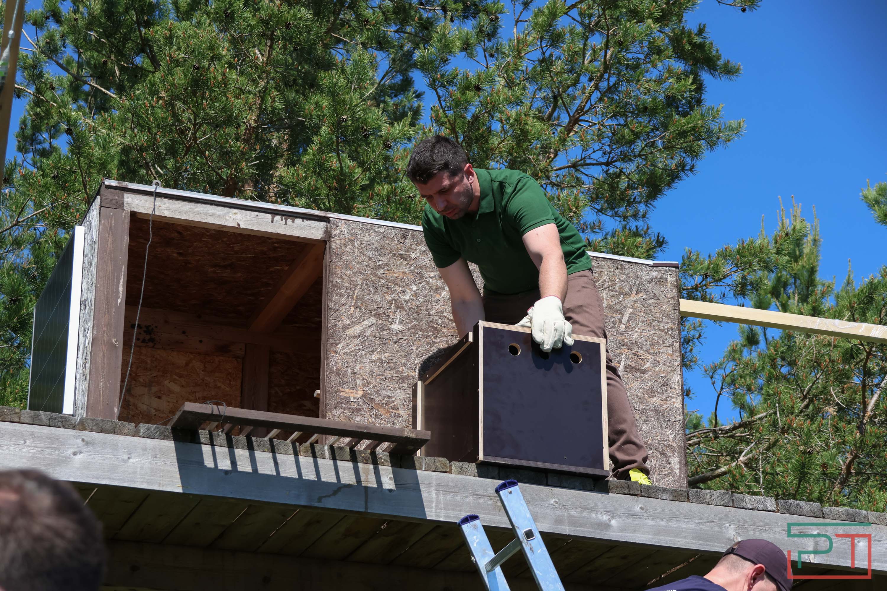 В Камско-Устьинский район доставили 8 птенцов сокола-балобана