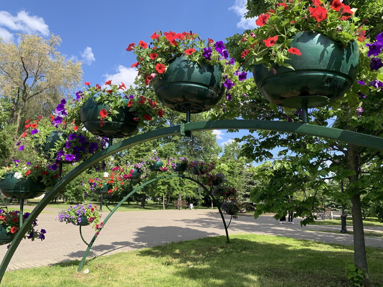 В Татарстане определилась цветочная столица. И это не Казань