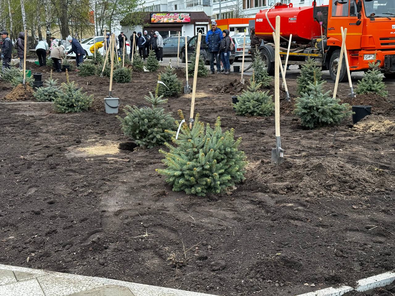 В Менделеевске посадили 80 елей в честь 80-летия Победы