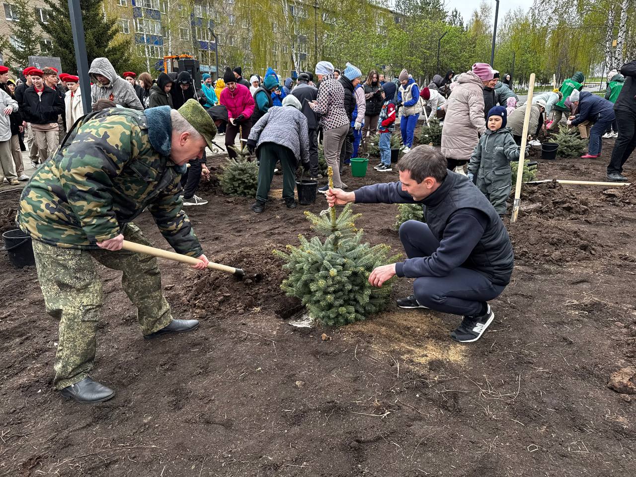 В Менделеевске посадили 80 елей в честь 80-летия Победы