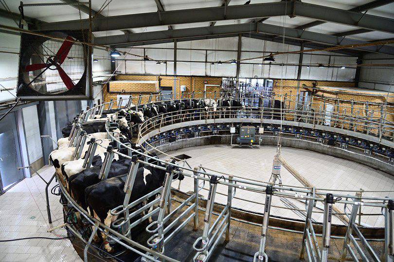 Минниханов осмотрел поля Балтасинского района и встретился с фермерами