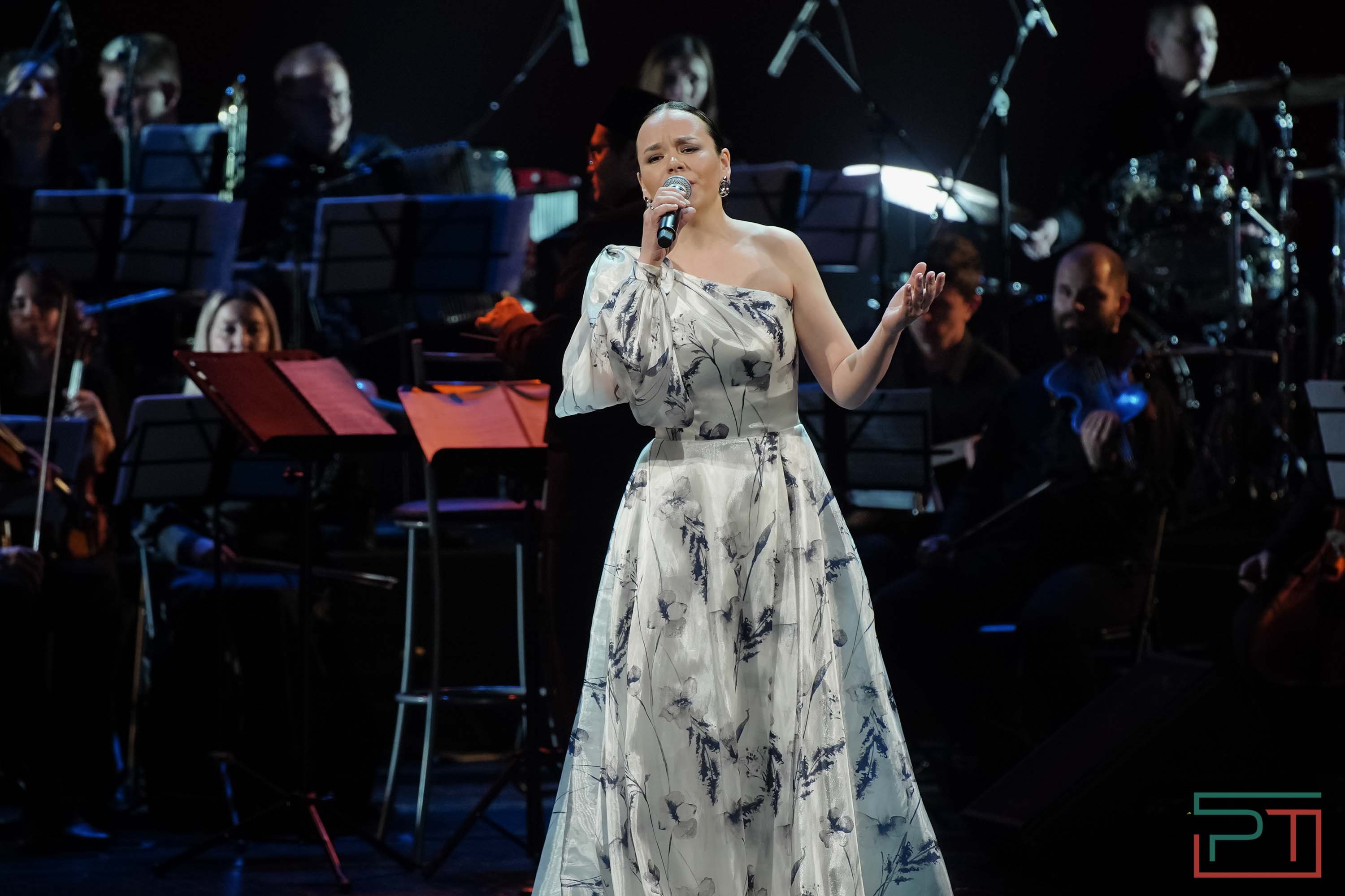 Концерт «ЭХО. Ильхам Шакиров»