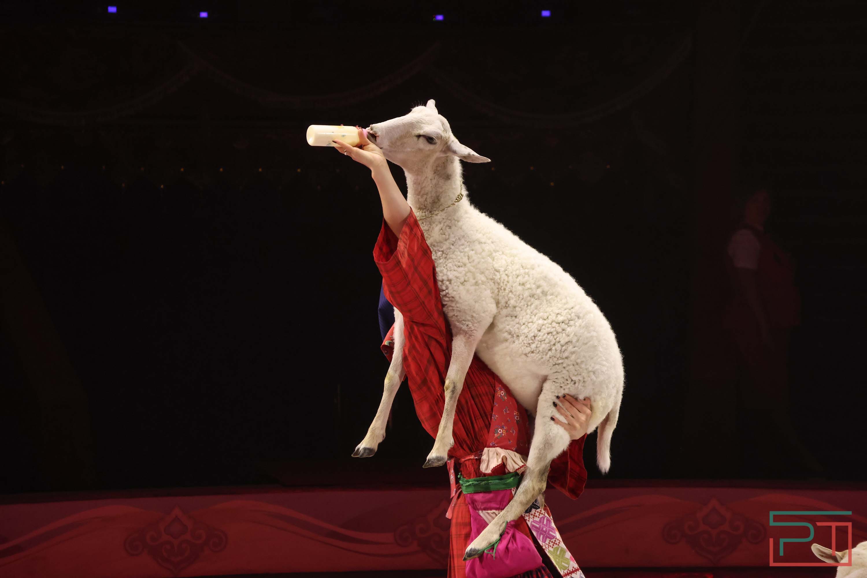 Премьера спектакля «Мирас»