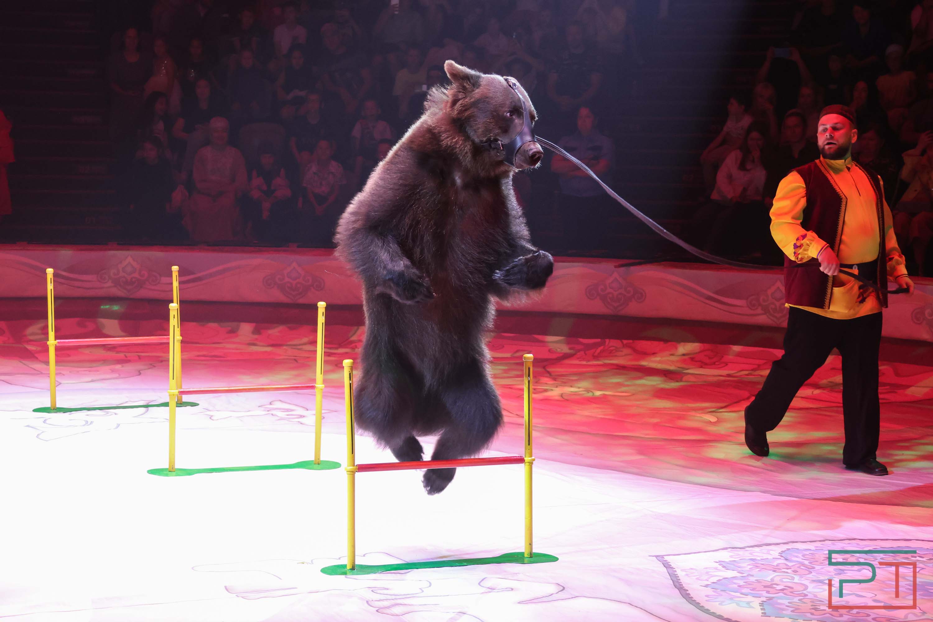 Премьера спектакля «Мирас»