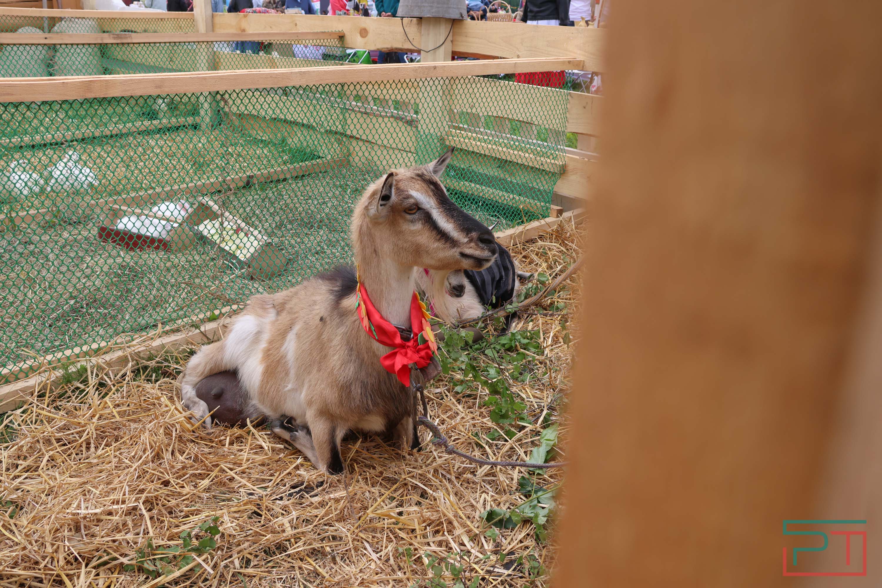 Чувашский праздник «Уяв»