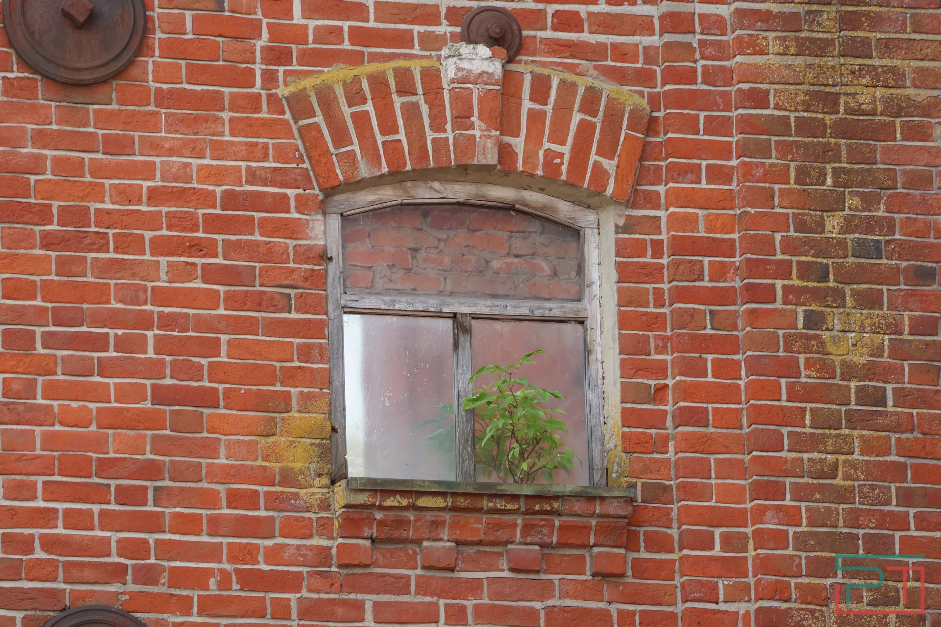 Пиво будет, но без бани: в Казани восстанавливают завод Петцольда за 5 млрд рублей