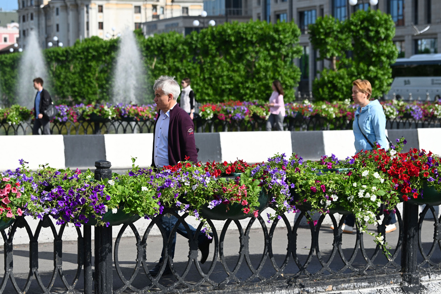 Улицы Казани украсили более 1 тыс. цветочных кашпо