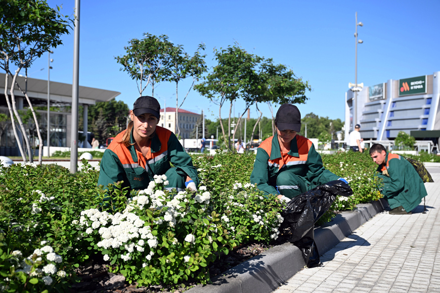 Улицы Казани украсили более 1 тыс. цветочных кашпо