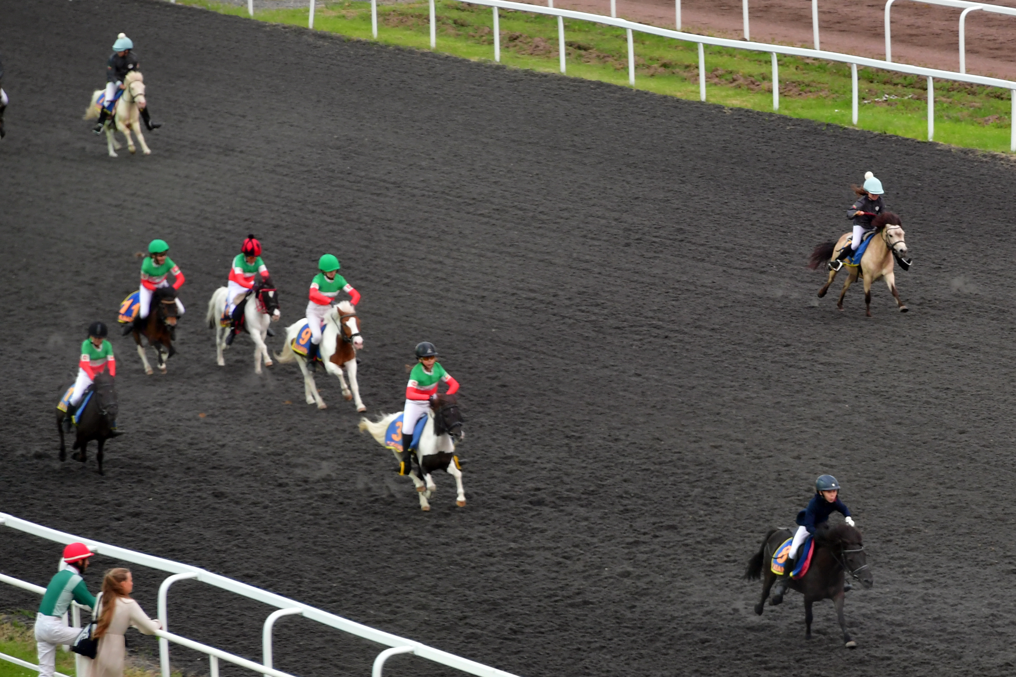 Минниханов и Шаймиев побывали на конных скачках в честь Сабантуя в Казани