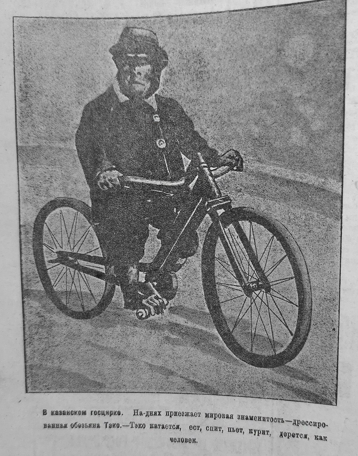 Гуляли две недели: как в Казани отмечали Сабантуй 100 лет назад