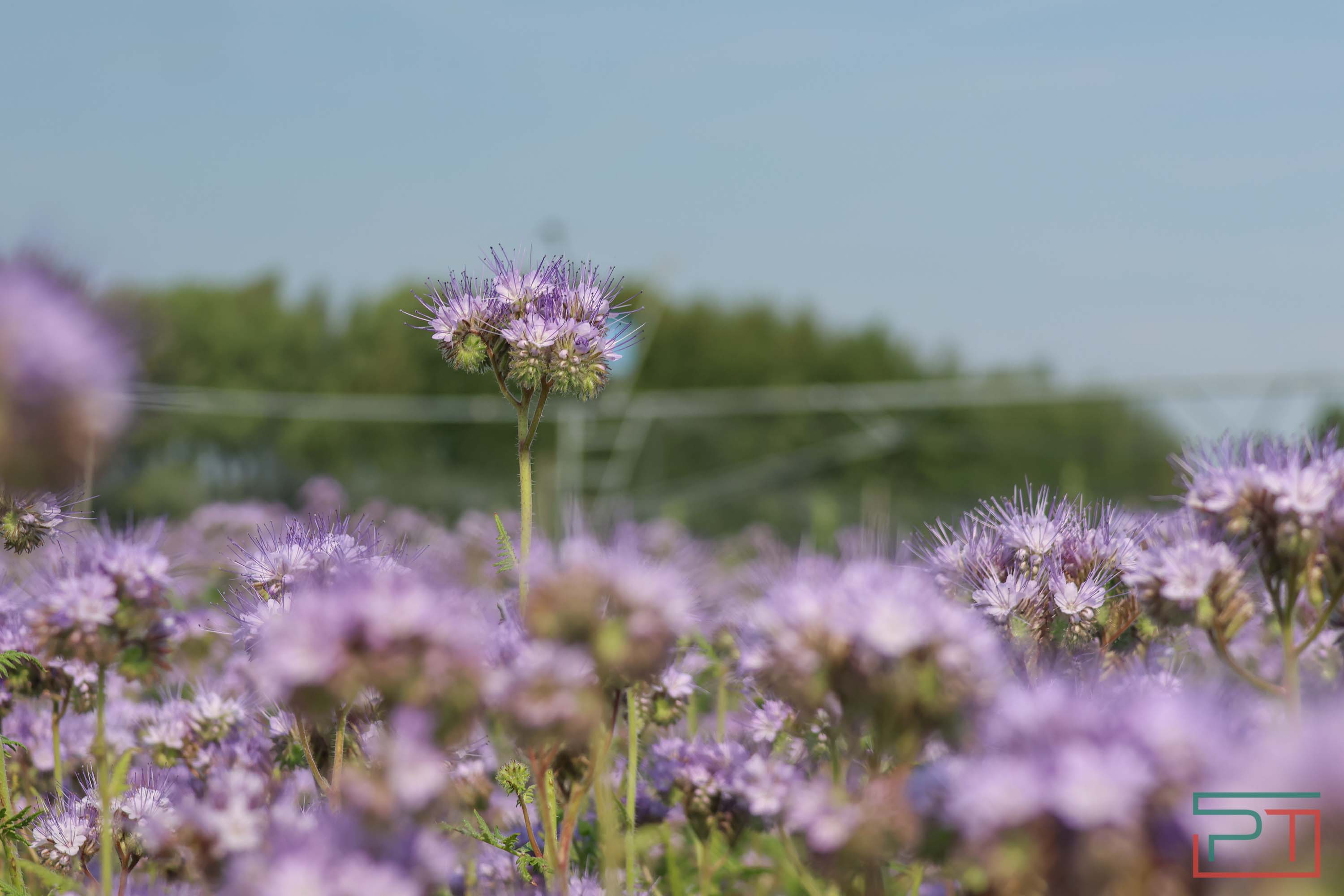 «Агроволга-2025» в Казани: и машины подарили, и интернет в селах запустили
