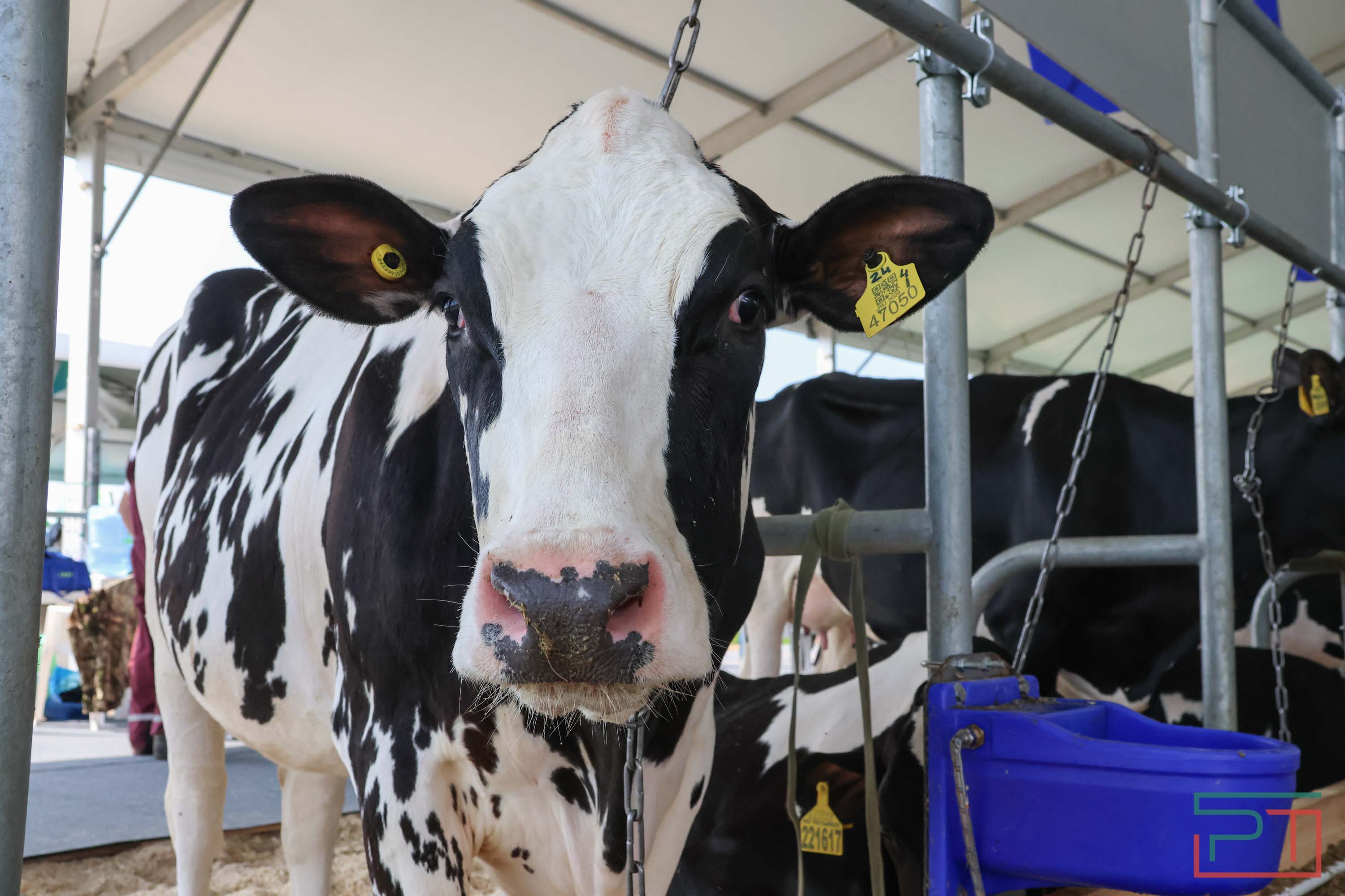 «Агроволга-2025» в Казани: и машины подарили, и интернет в селах запустили