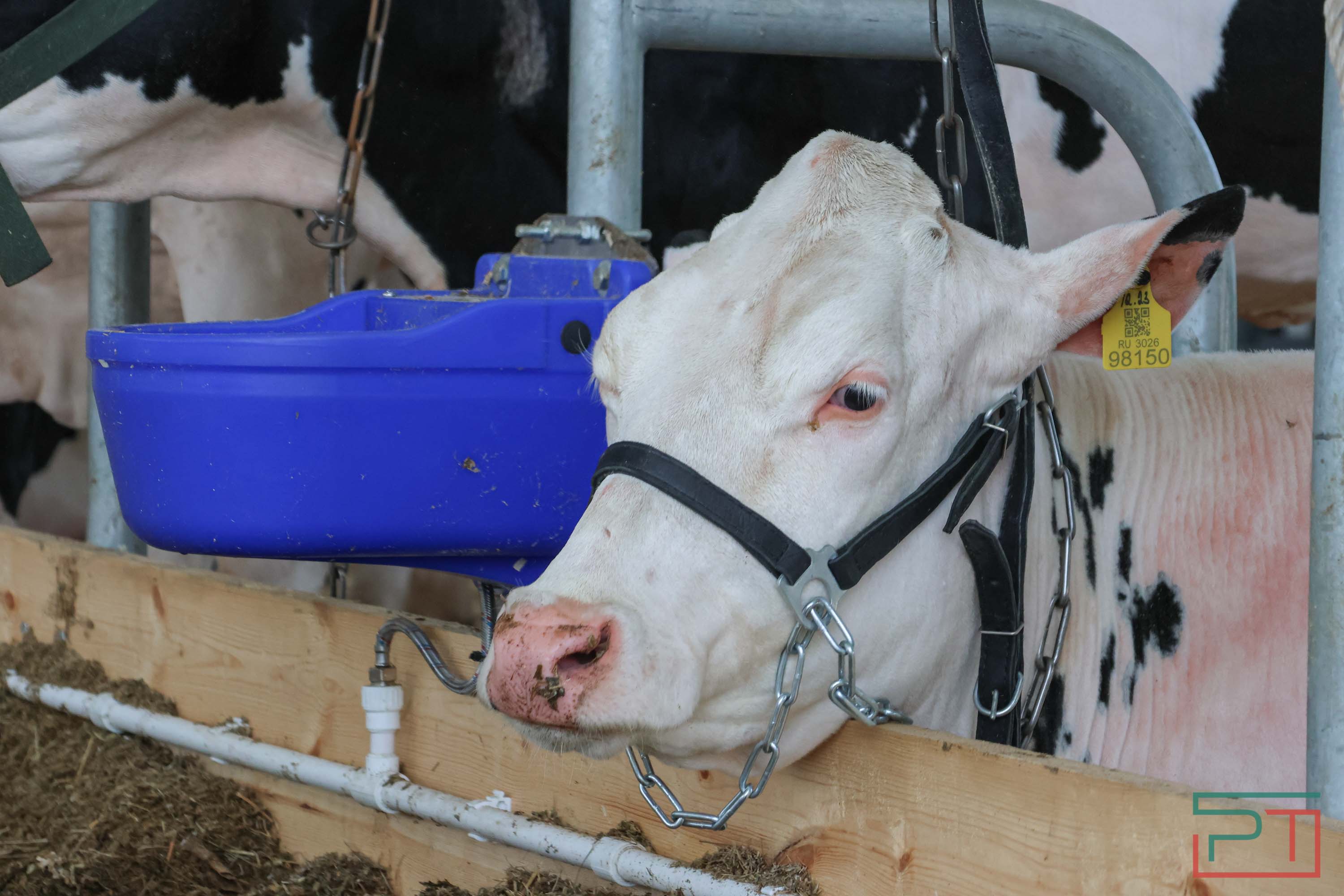 «Агроволга-2025» в Казани: и машины подарили, и интернет в селах запустили