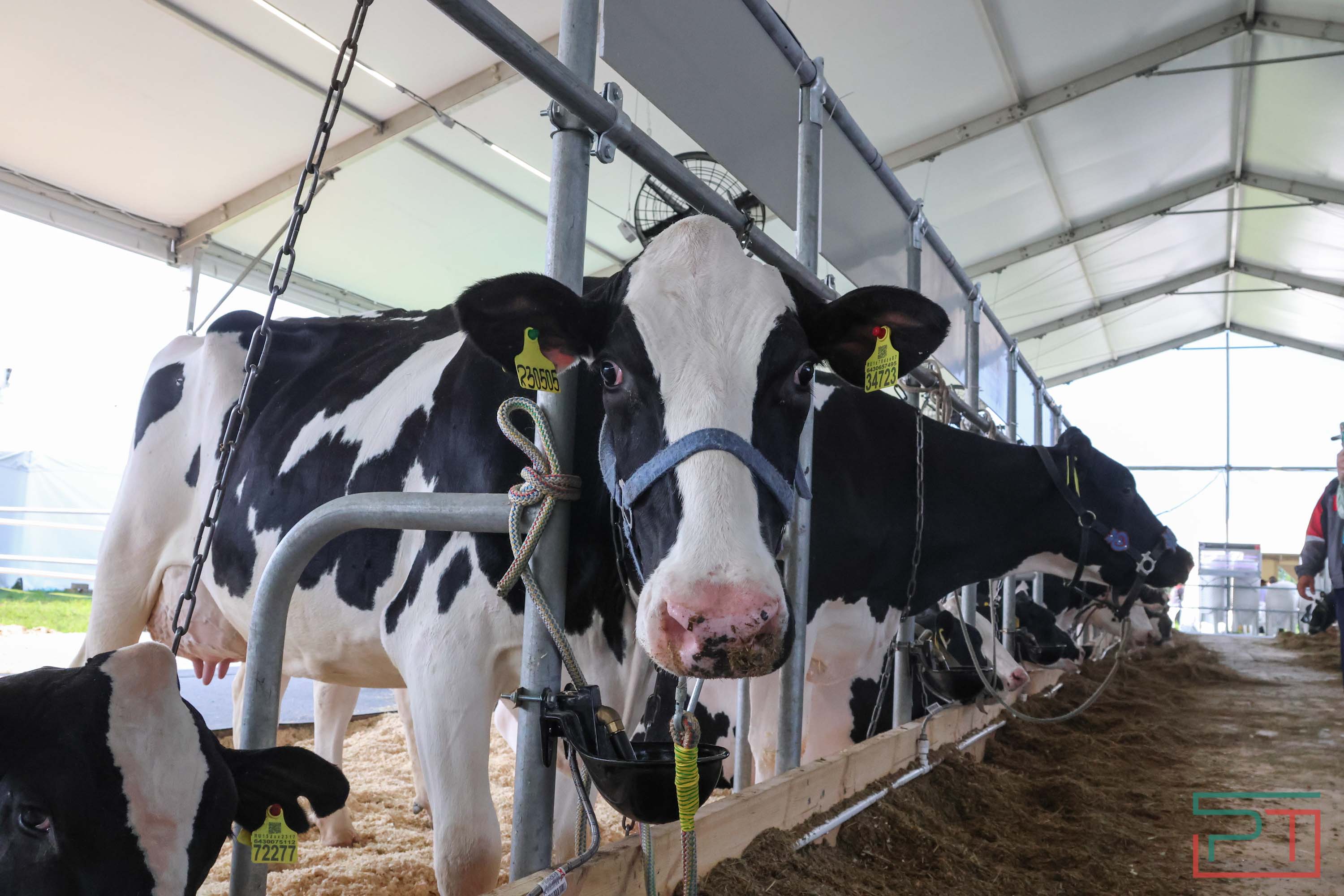 «Агроволга-2025» в Казани: и машины подарили, и интернет в селах запустили