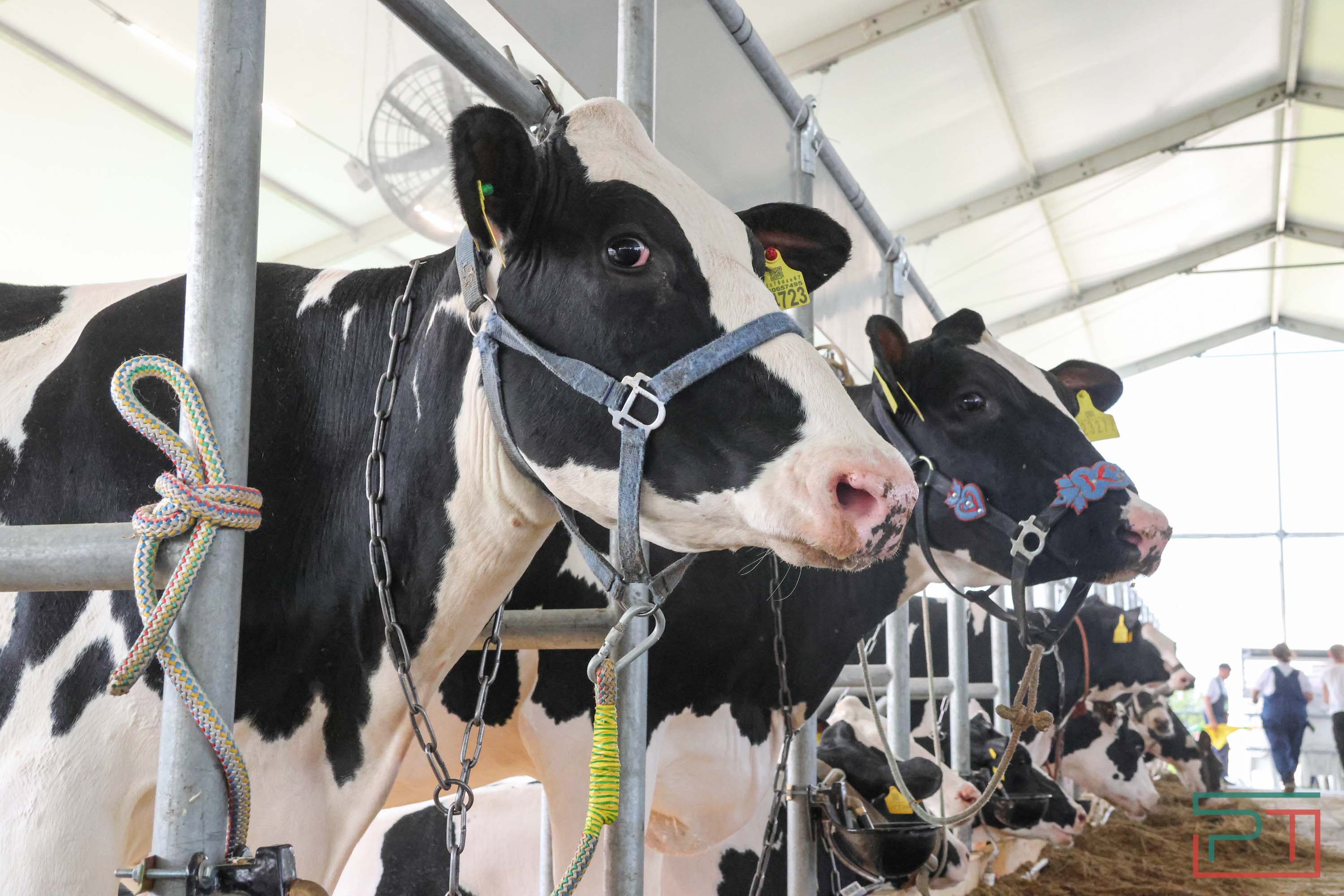 «Агроволга-2025» в Казани: и машины подарили, и интернет в селах запустили