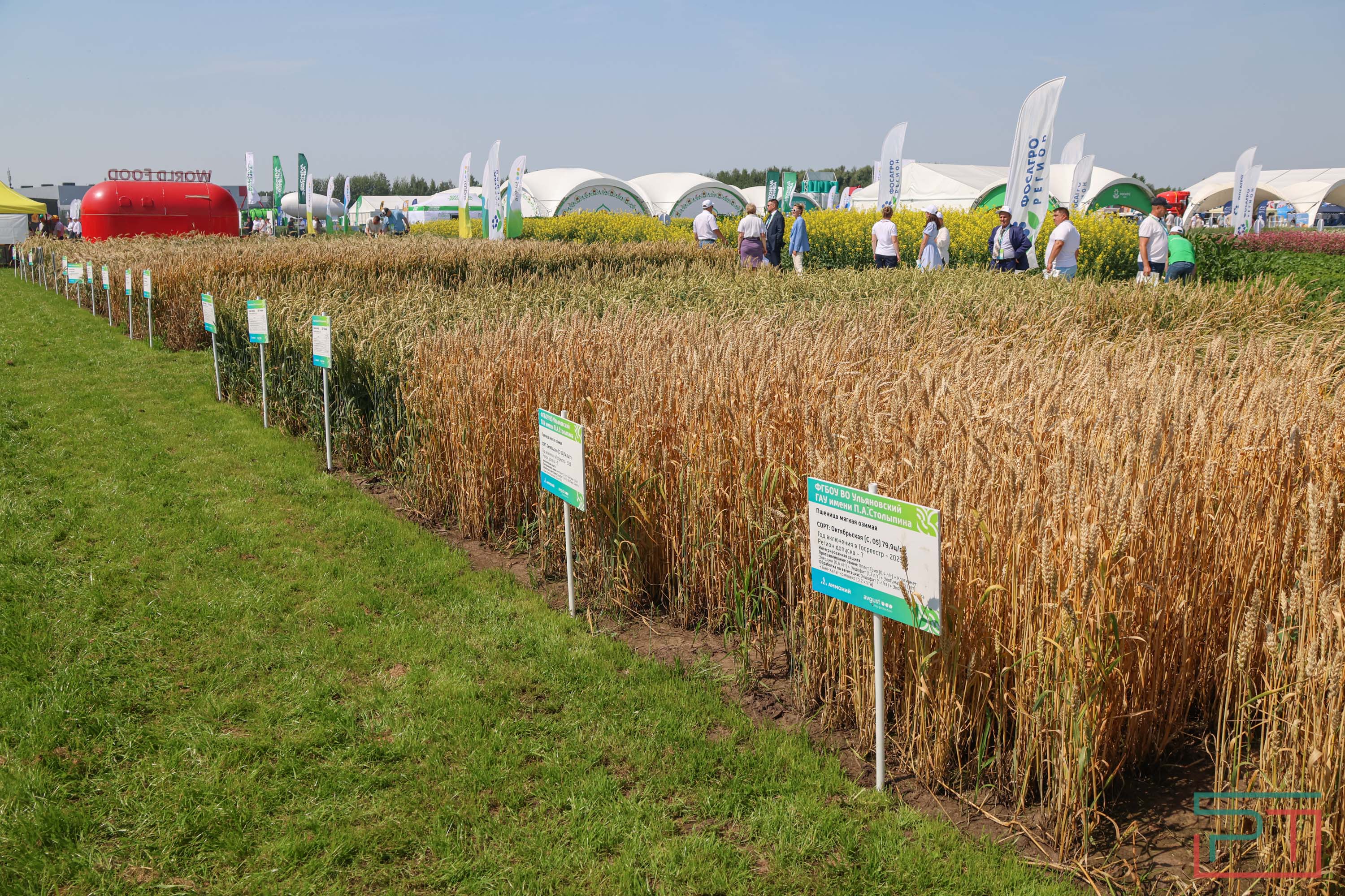 «Агроволга-2025» в Казани: и машины подарили, и интернет в селах запустили