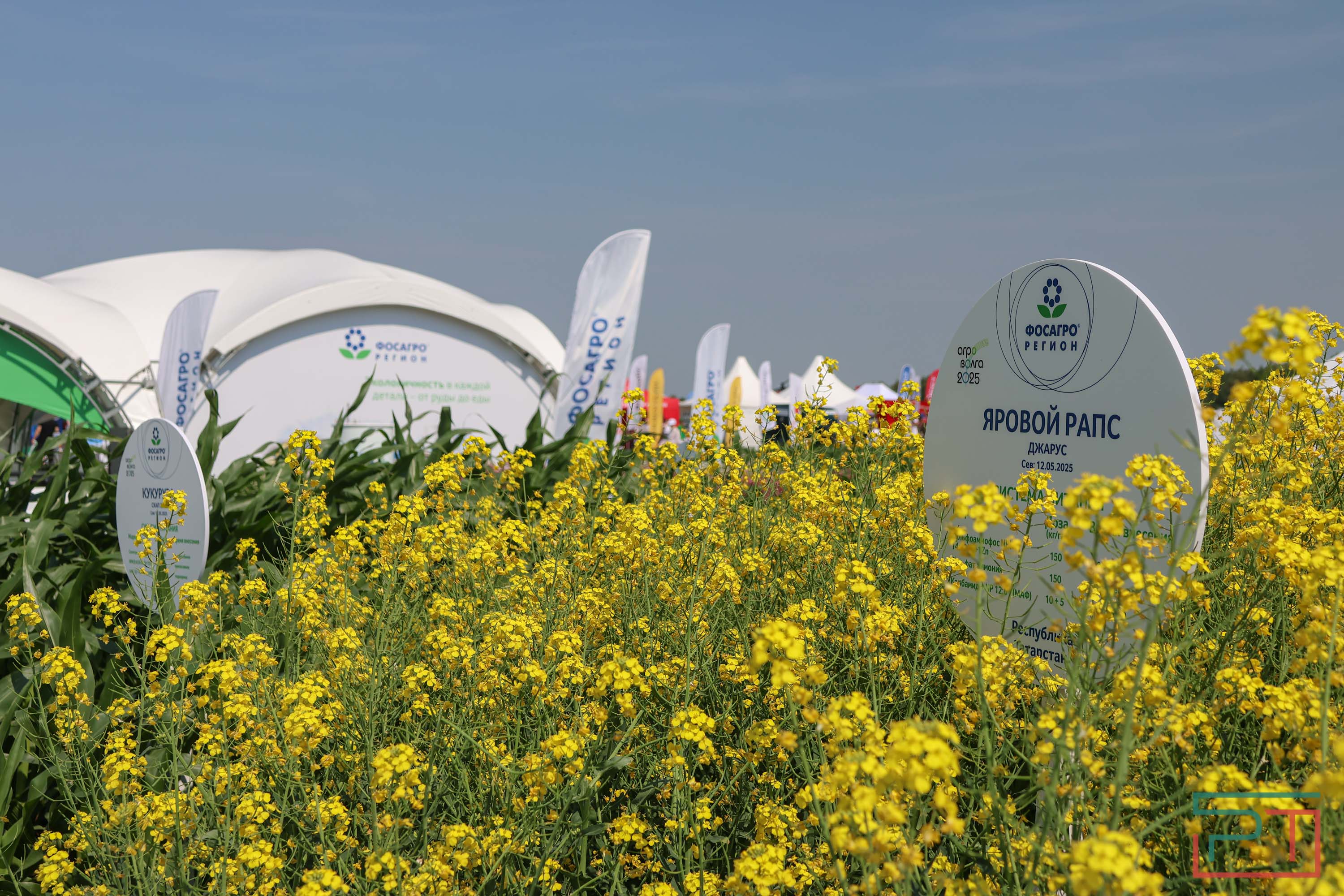 «Агроволга-2025» в Казани: и машины подарили, и интернет в селах запустили