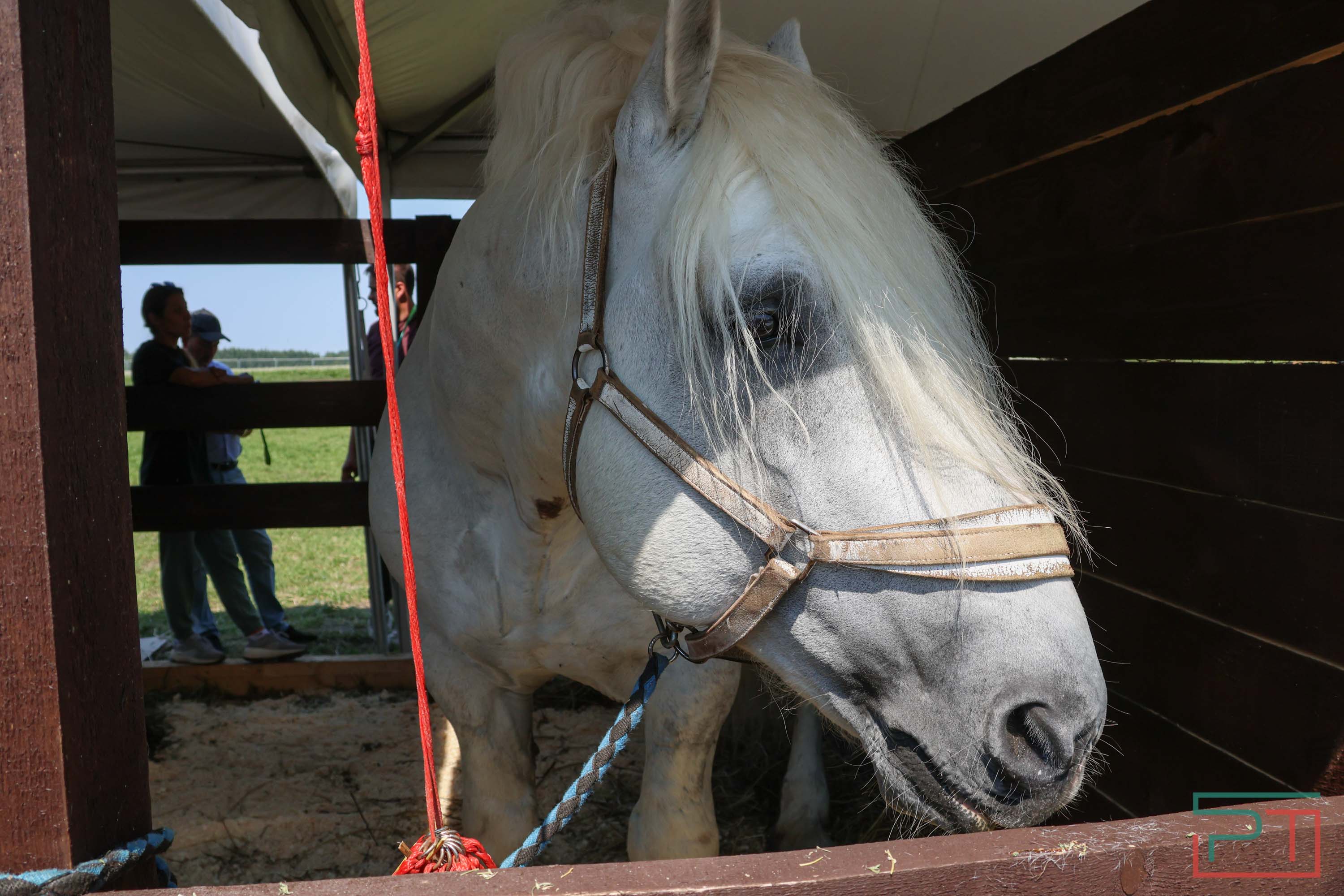 «Агроволга-2025» в Казани: и машины подарили, и интернет в селах запустили