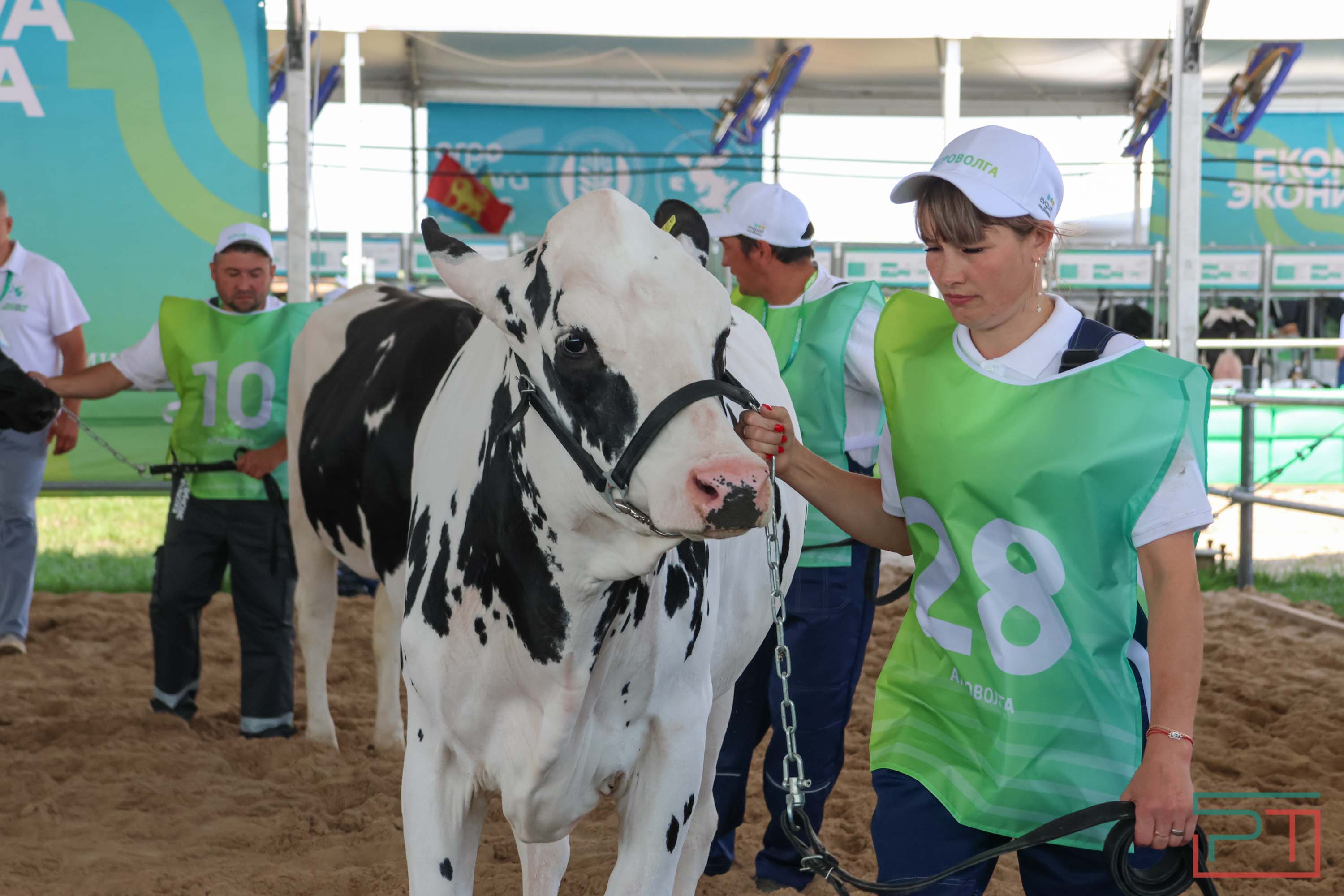 «Агроволга-2025» в Казани: и машины подарили, и интернет в селах запустили