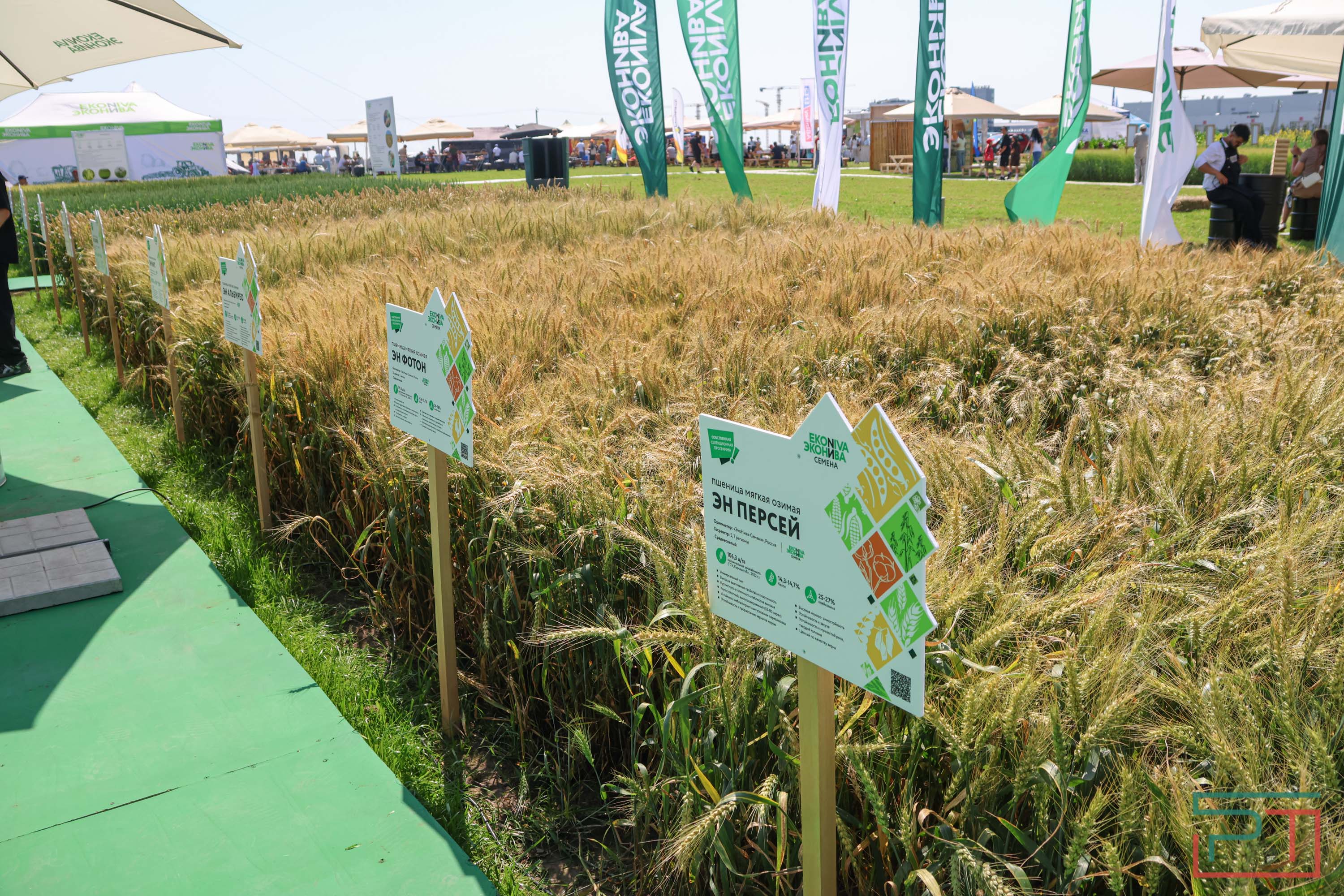 «Агроволга-2025» в Казани: и машины подарили, и интернет в селах запустили