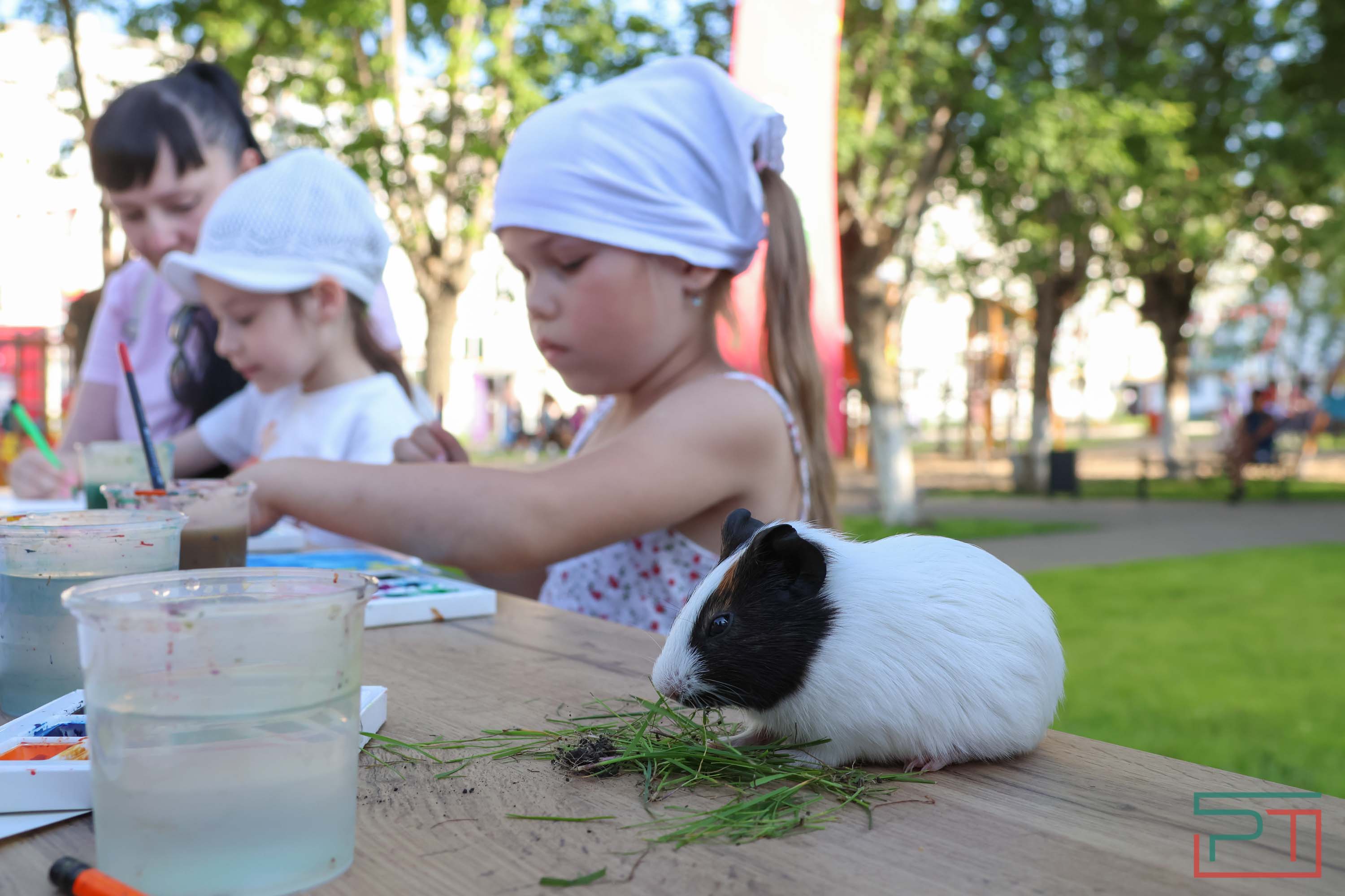 Рустам Минниханов принял участие в празднике двора в Набережных Челнах