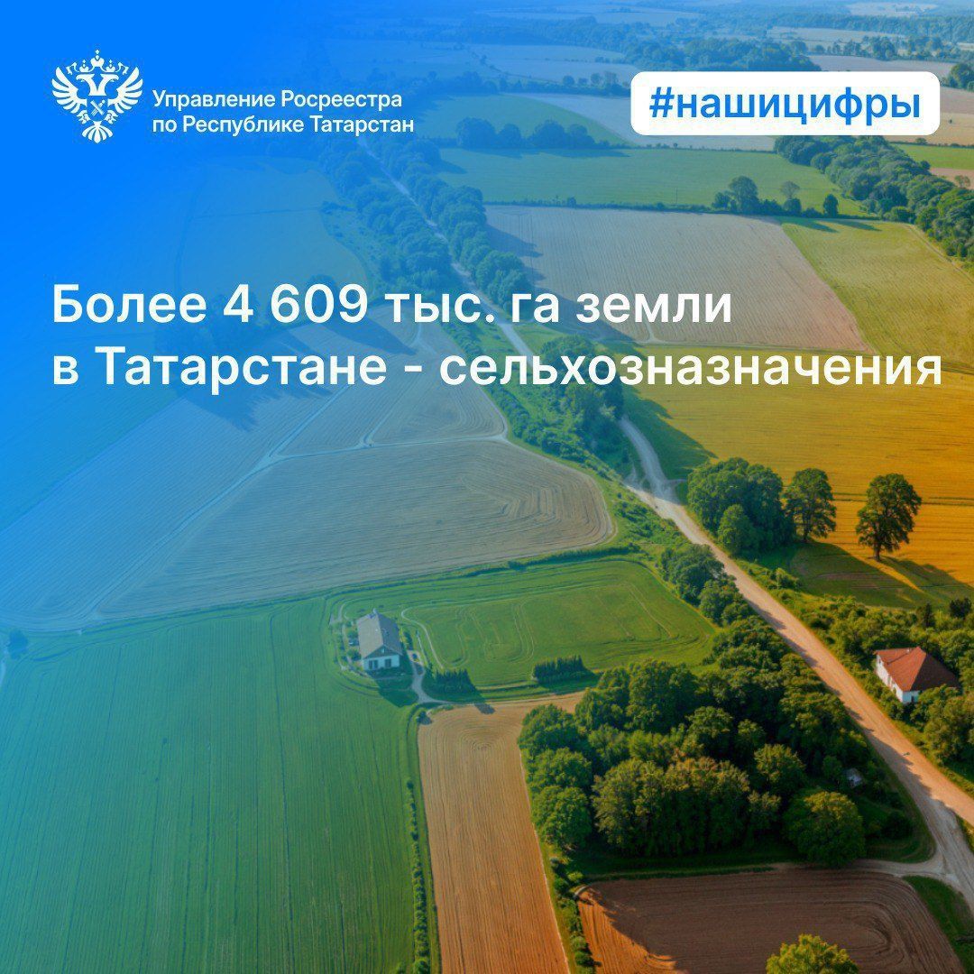 Росреестр Татарстана вернул в сельхозоборот более 15 тыс. га земель