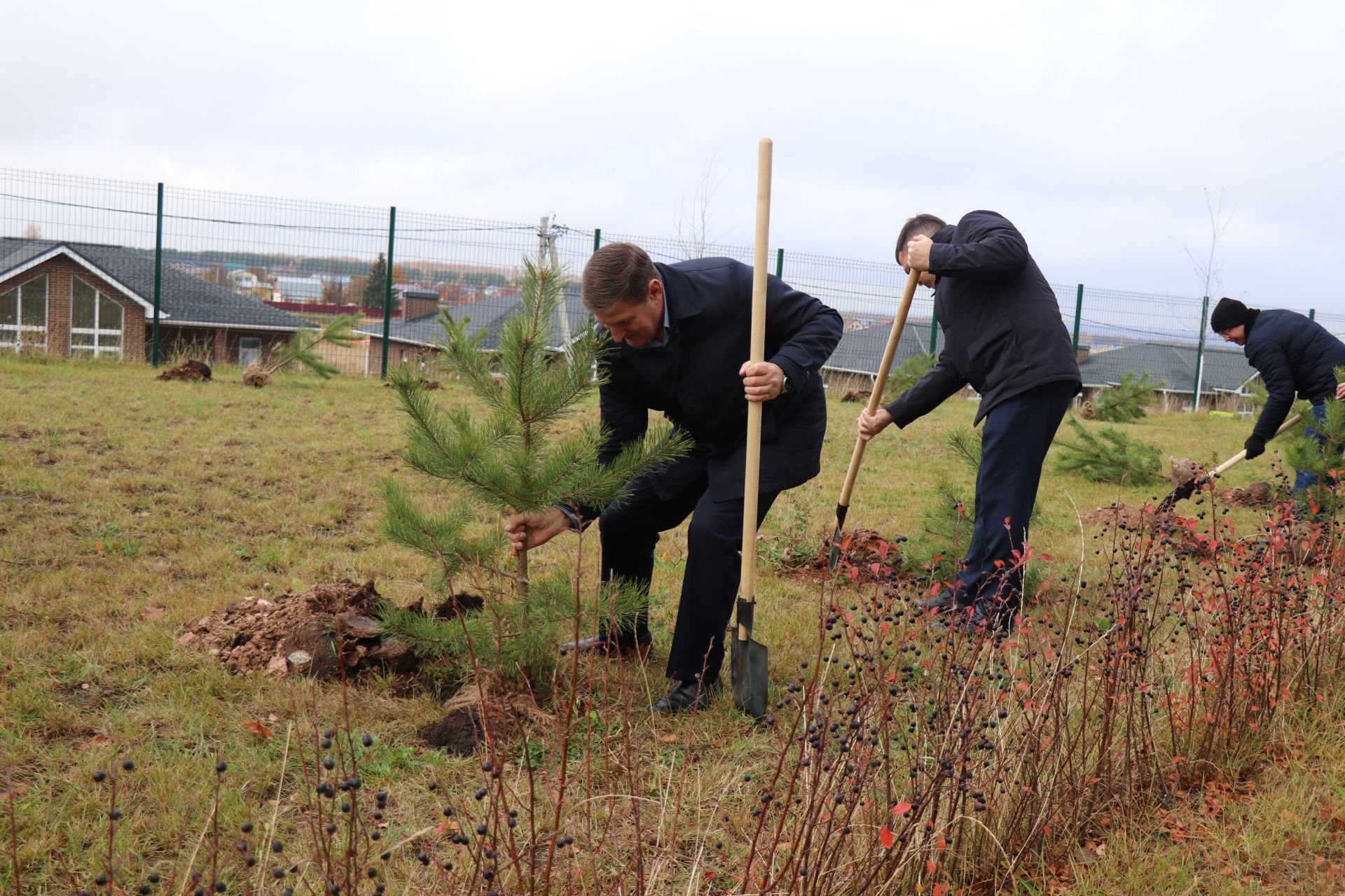Сотрудники Минюста Татарстана высадили 25 саженцев в честь 25-летия института мировых судей
