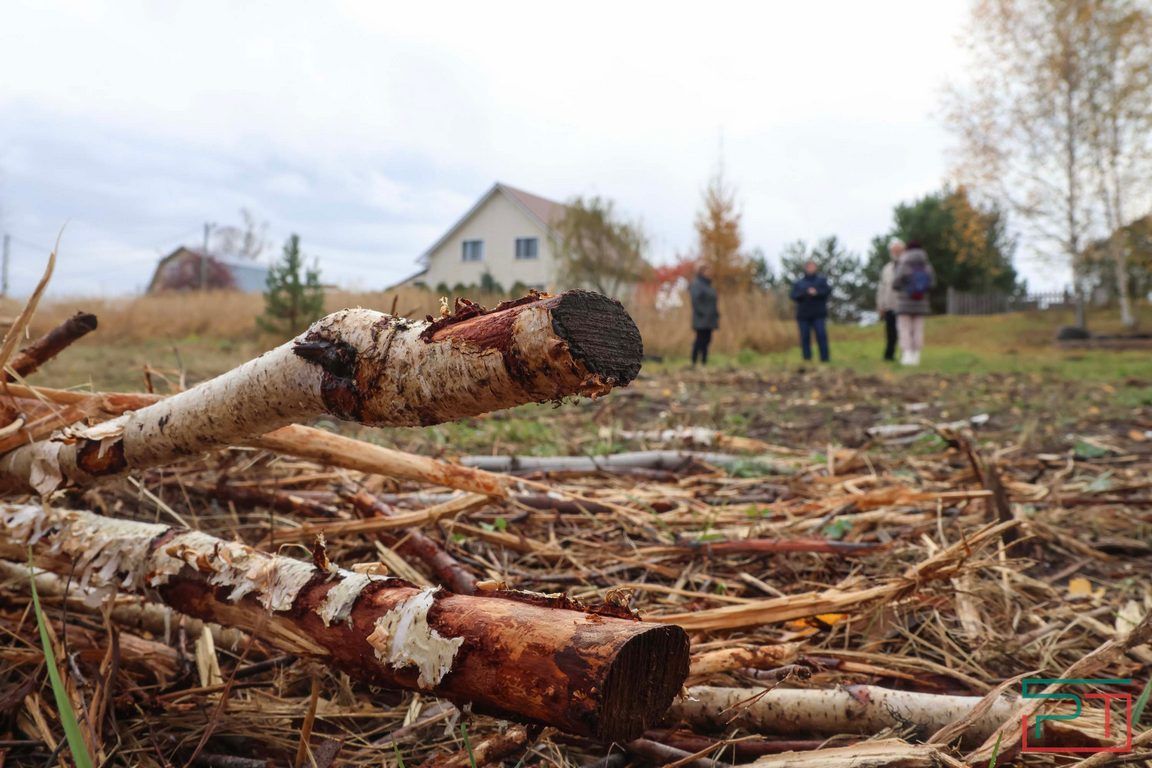 Никакой ширины, никакой глубины: жители села в Лаишевском районе пытаются спасти погибающее озеро