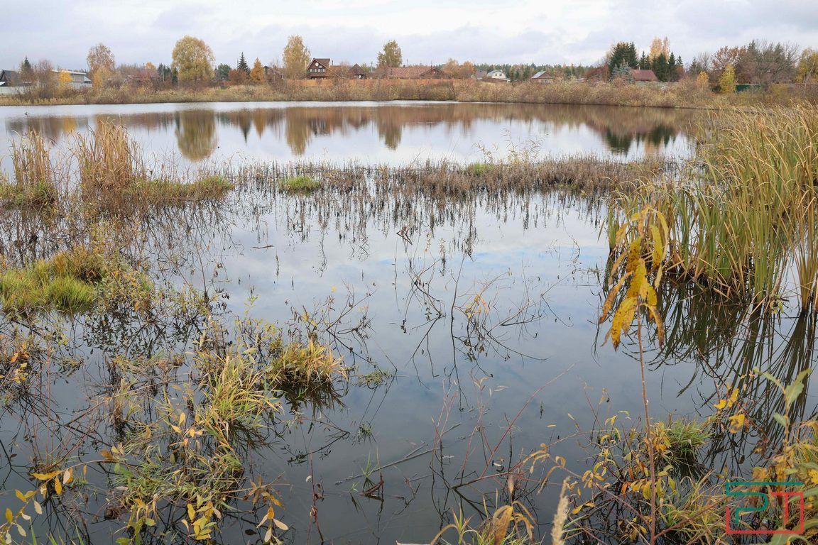 Никакой ширины, никакой глубины: жители села в Лаишевском районе пытаются спасти погибающее озеро