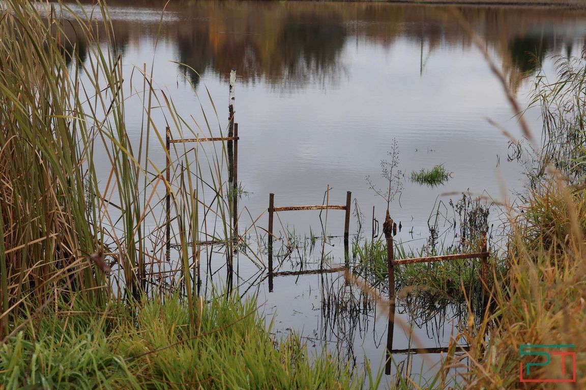 Никакой ширины, никакой глубины: жители села в Лаишевском районе пытаются спасти погибающее озеро