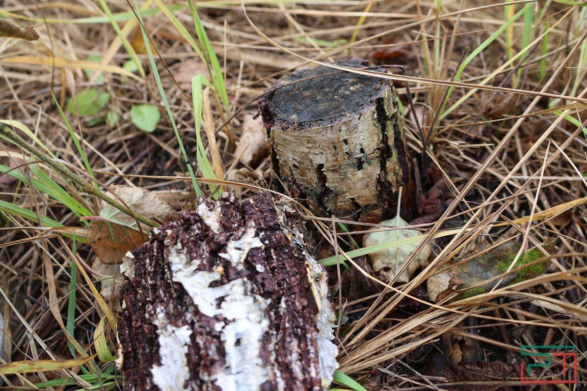 Никакой ширины, никакой глубины: жители села в Лаишевском районе пытаются спасти погибающее озеро