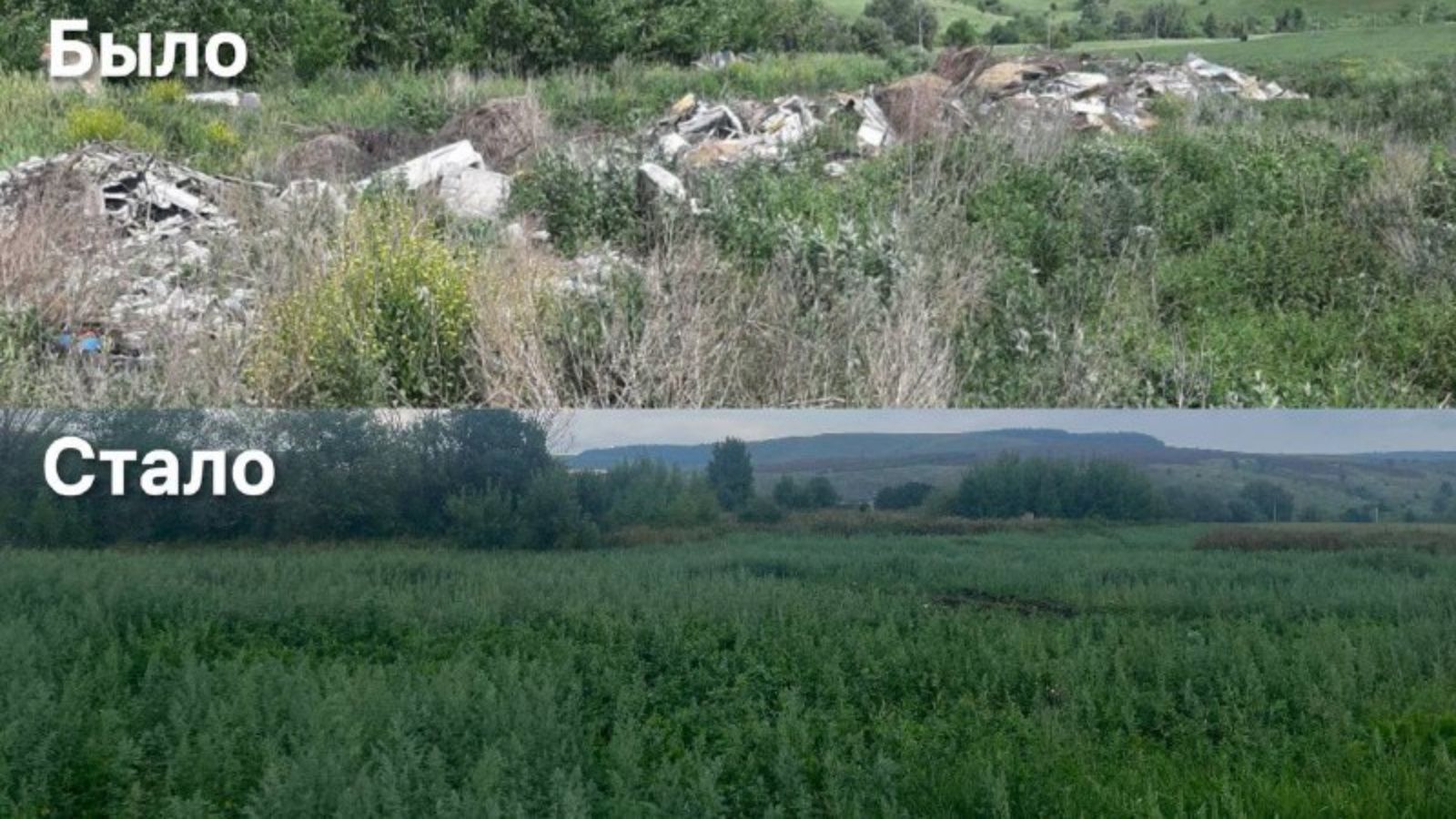 Огромную свалку после обращения экологов ликвидировали в заинском Бегишево