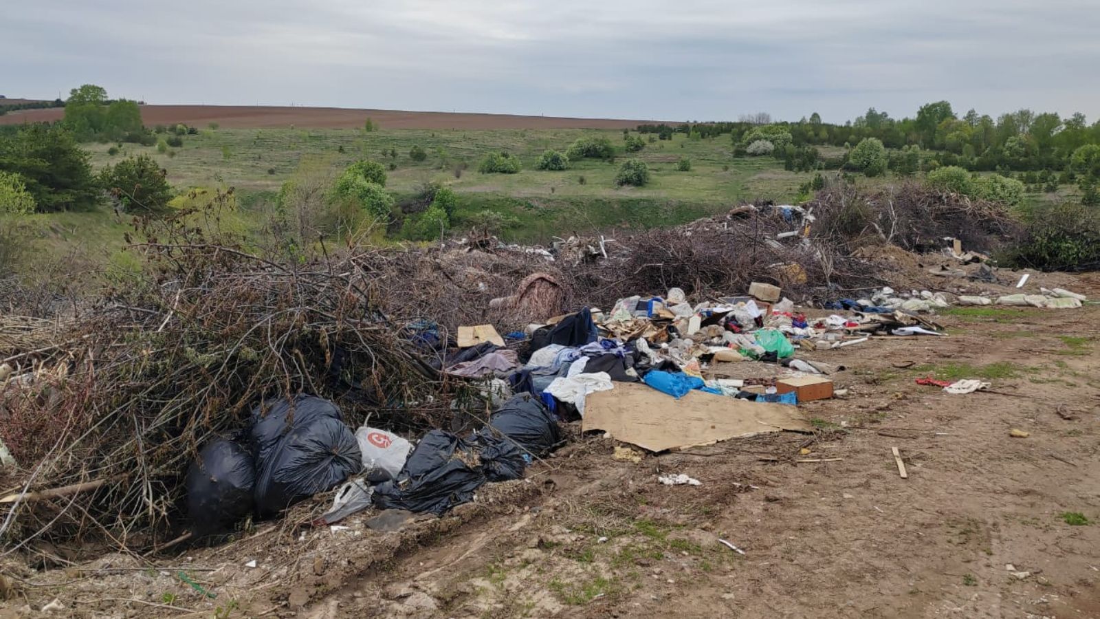 Суд обязал исполком Мамадышского района устранить обнаруженную экологами незаконную свалку