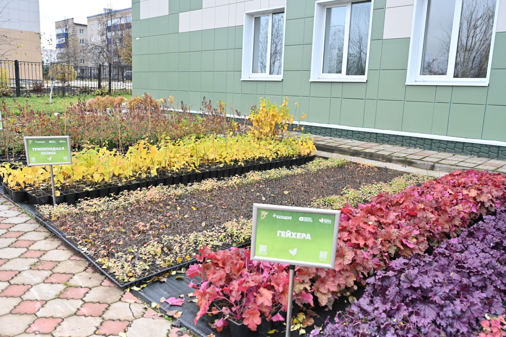 В Татарстане 544 ребенка-сироты нуждаются в семейном устройстве