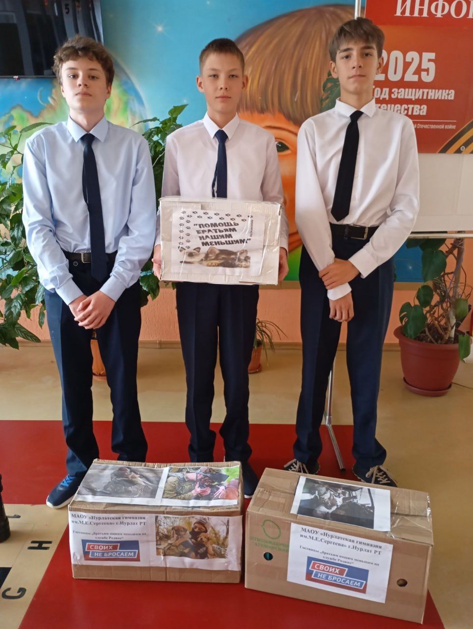 Нурлатские школьники собрали корм для кошек и собак в зоне СВО