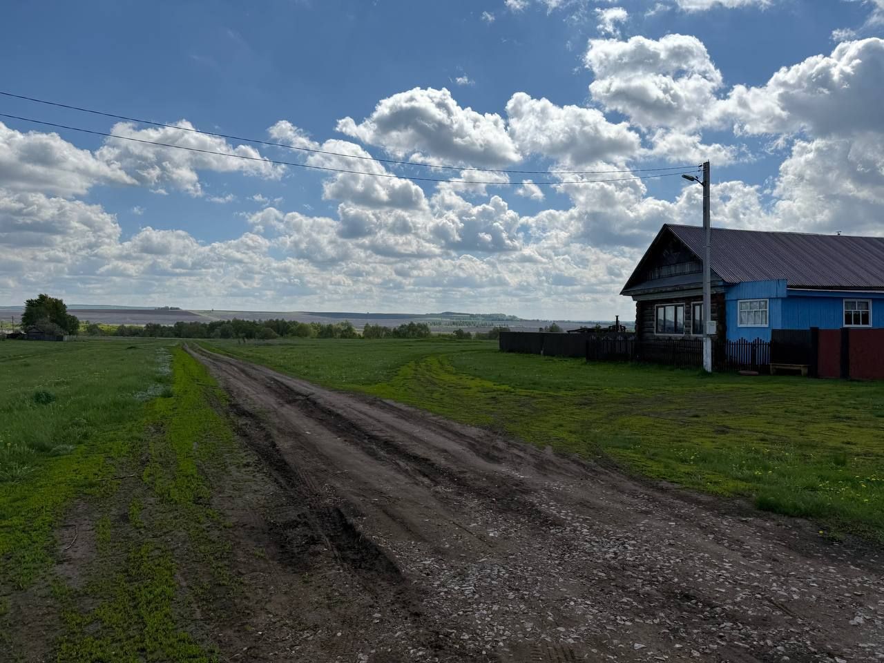 «Мы долго этого ждали»: многодетным семьям из Казани и Челнов предложат деньги вместо земли