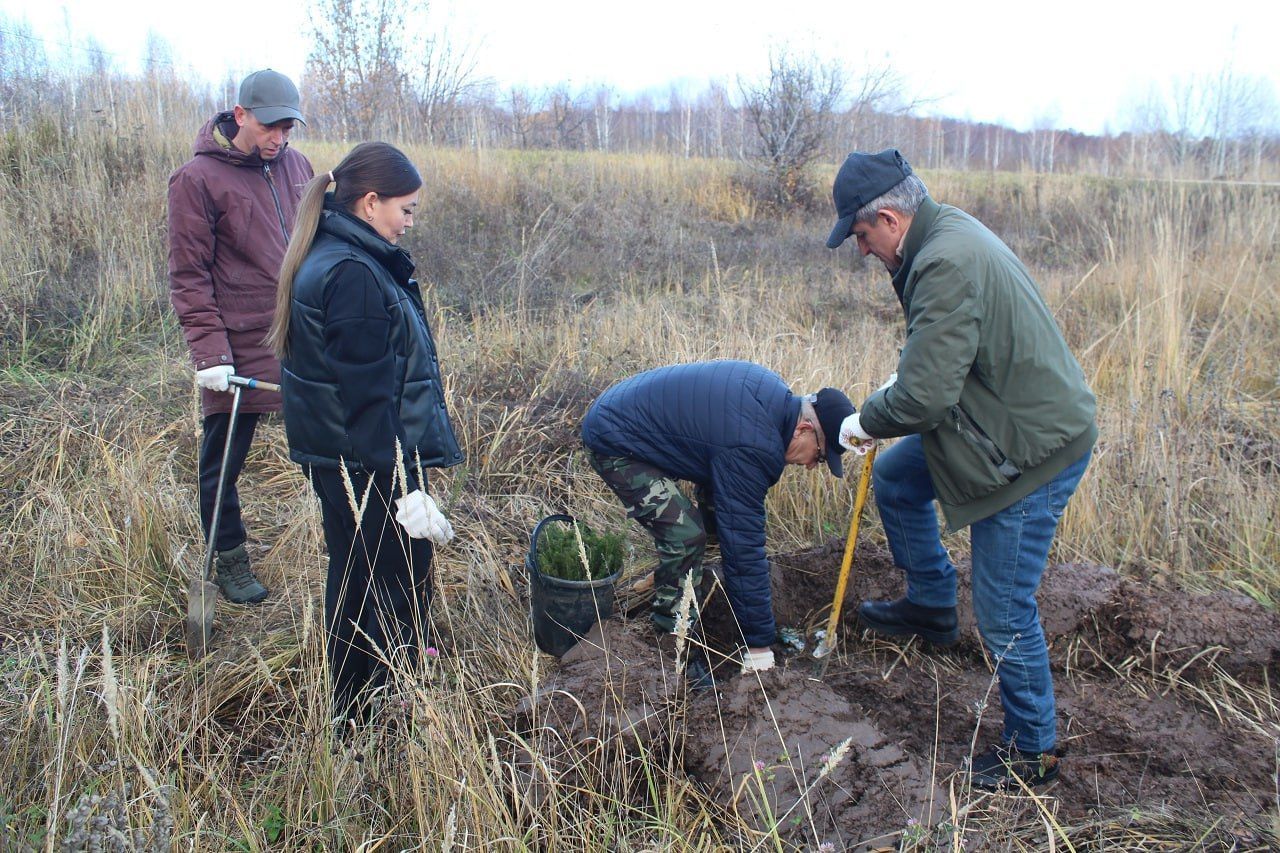 Сад памяти в честь бойцов СВО появился в Лаишеве