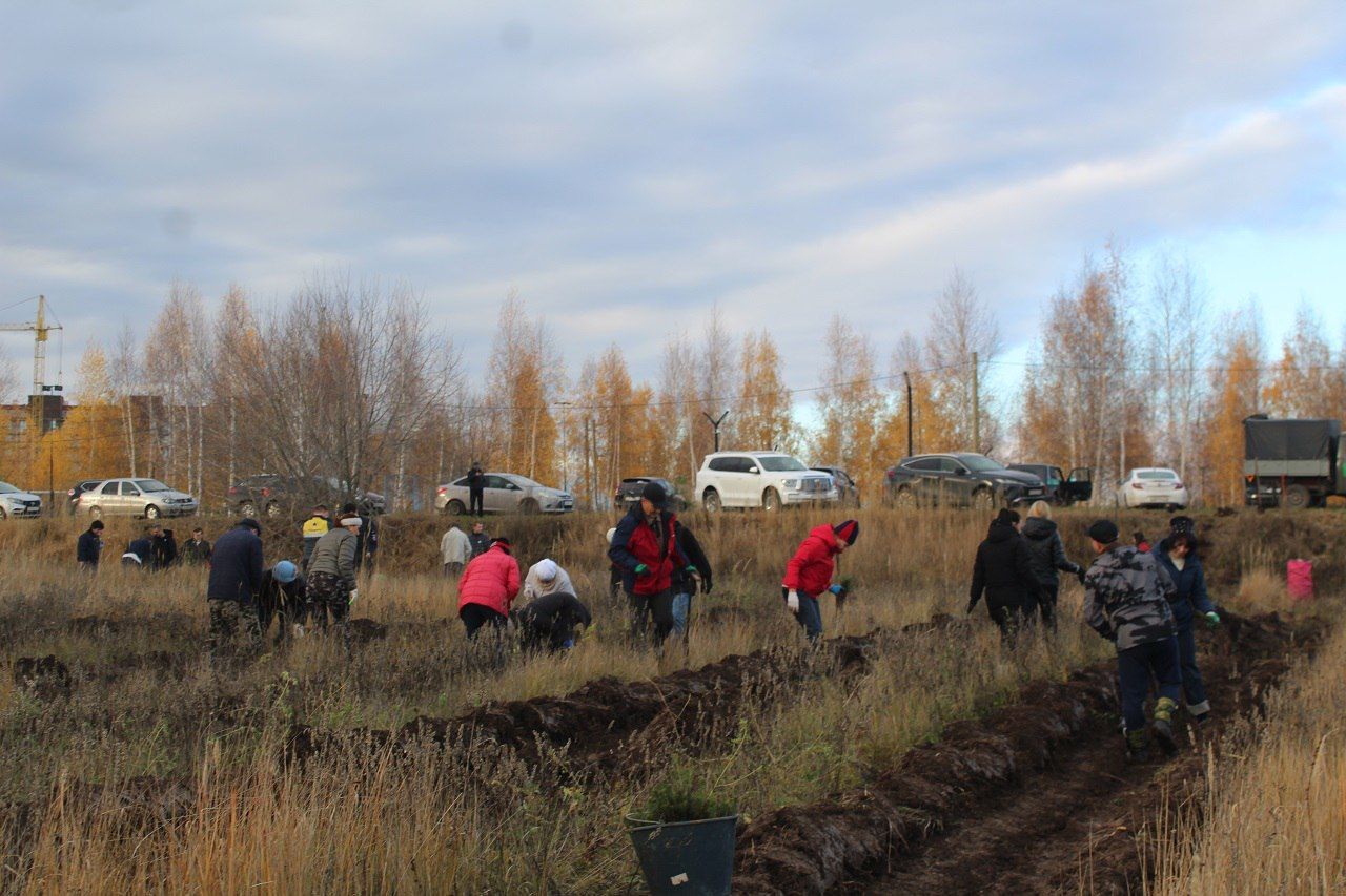 Сад памяти в честь бойцов СВО появился в Лаишеве